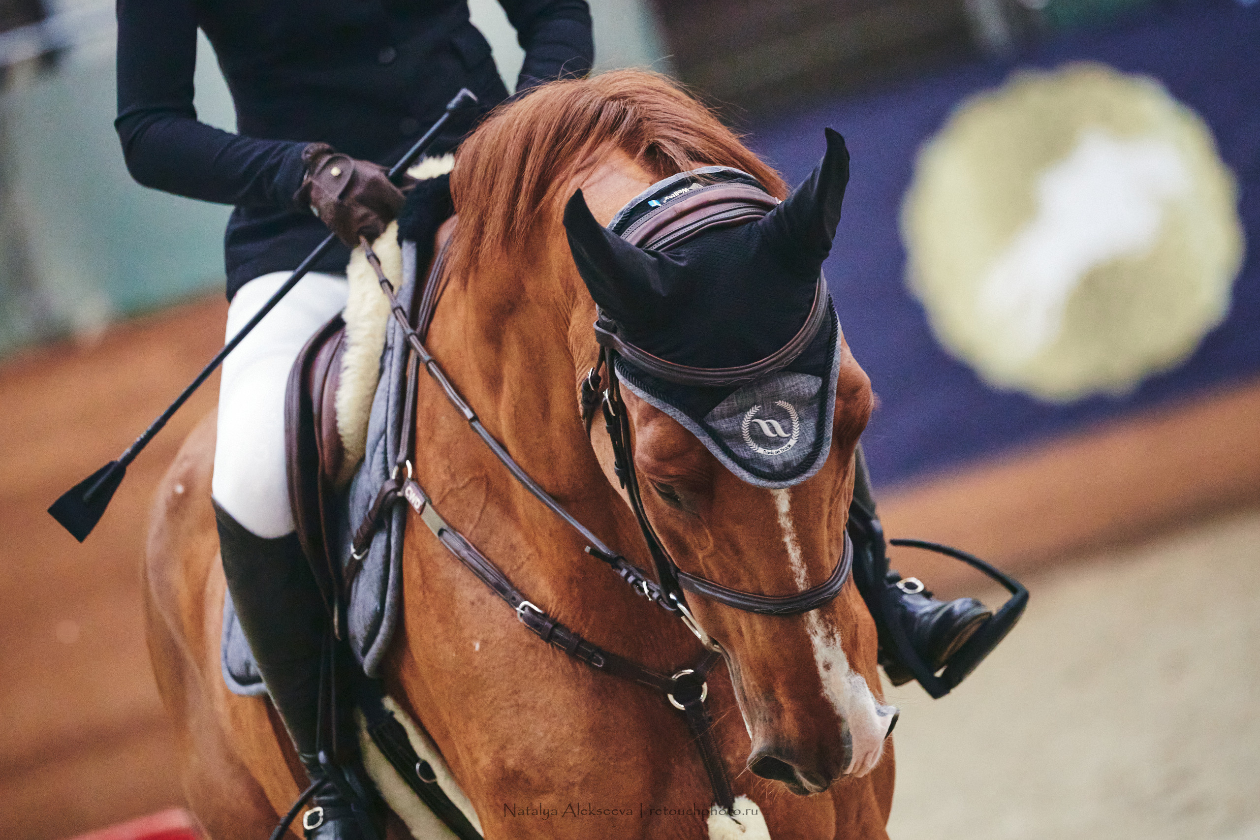Кубок Президента ОАЭ по конкуру, Maxima Stables | 12'2022. Репортажный фотограф и ретушер в Москве Наталья Алексеева