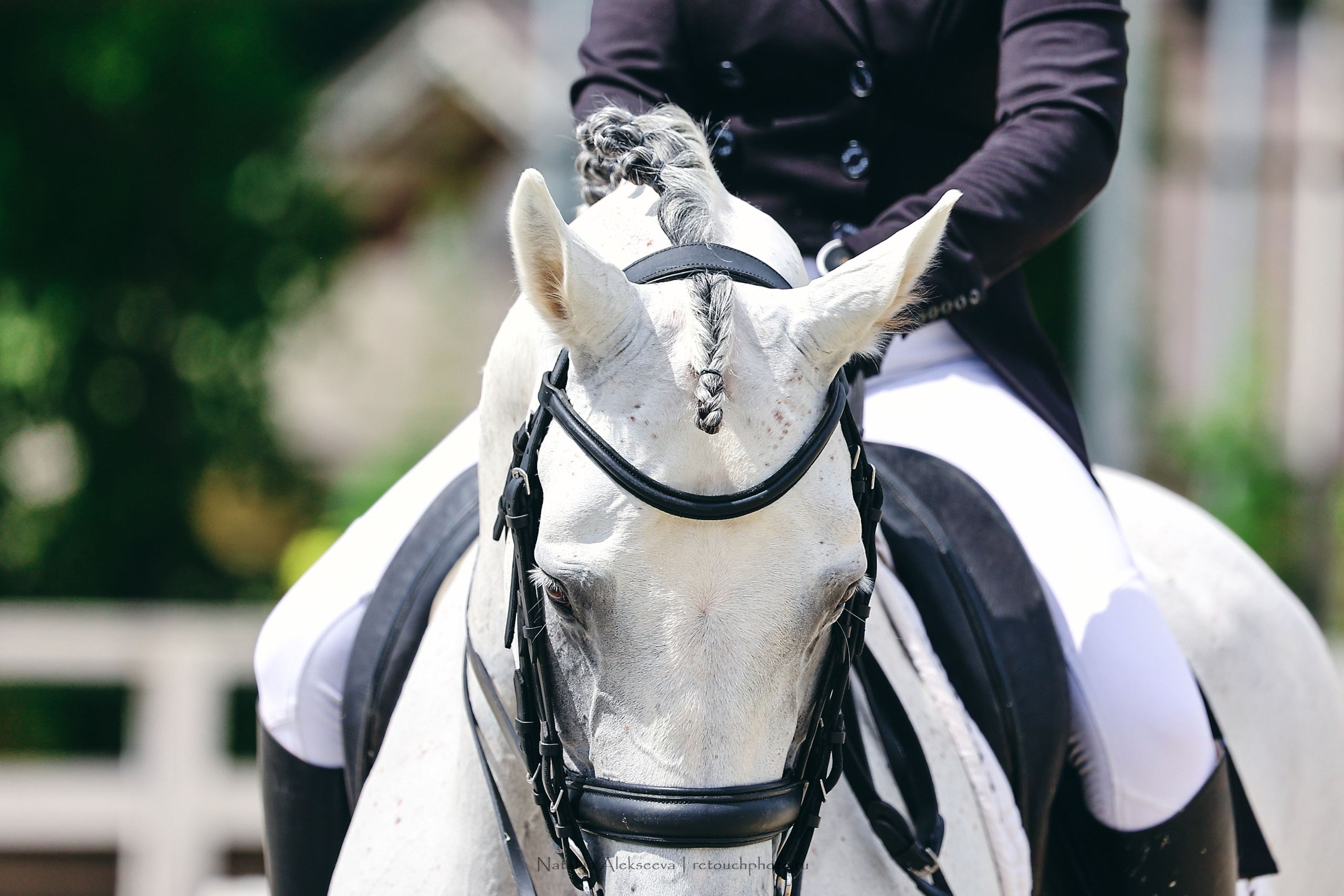 Летний Кубок ФКСМ по выездке, КСК Отрада | 07'2022. Репортажный фотограф и ретушер в Москве Наталья Алексеева