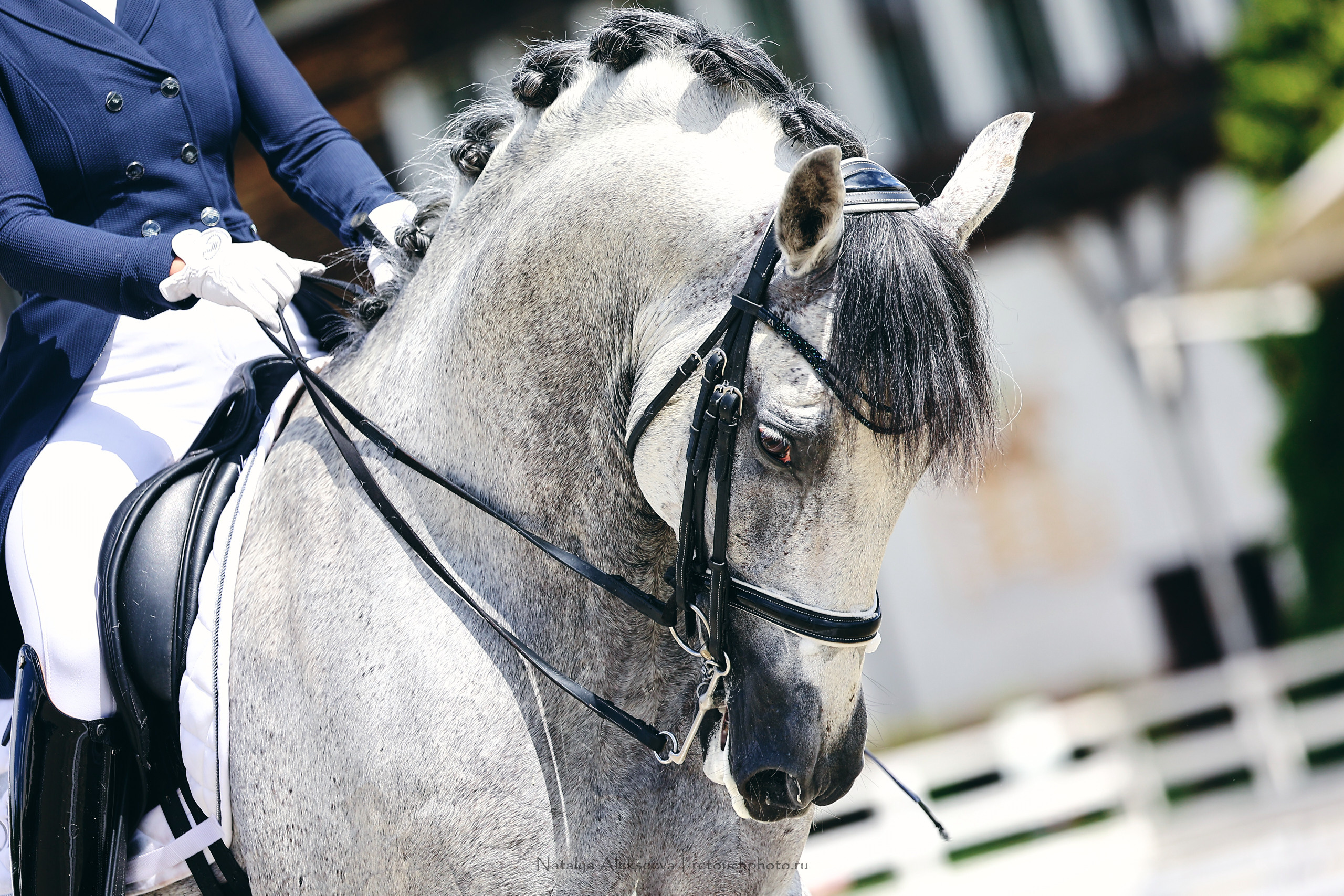 Летний Кубок ФКСМ по выездке, КСК Отрада | 07'2022. Репортажный фотограф и ретушер в Москве Наталья Алексеева