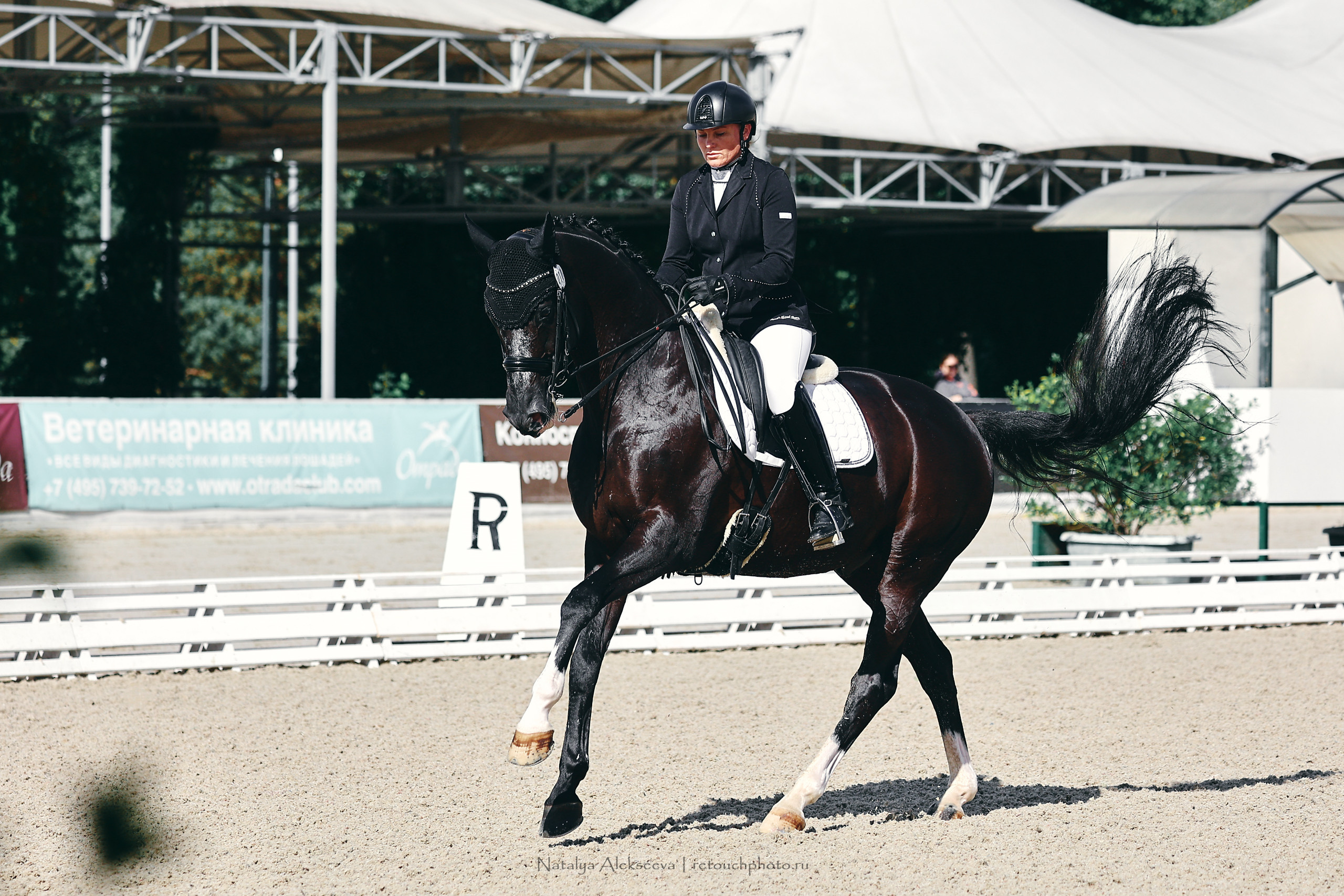 Кубок КСК Отрада по выездке | 09'2022. Репортажный фотограф и ретушер в Москве Наталья Алексеева