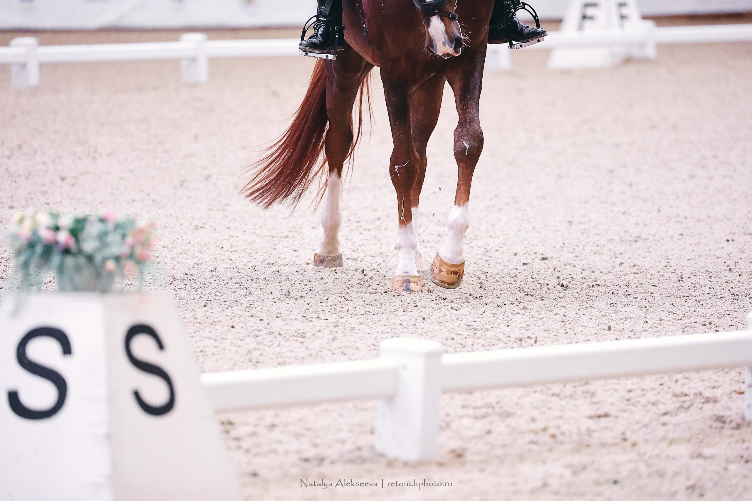 Финал Кубка Maxima Park по выездке, Maxima Stables | 10'2022. Репортажный фотограф и ретушер в Москве Наталья Алексеева