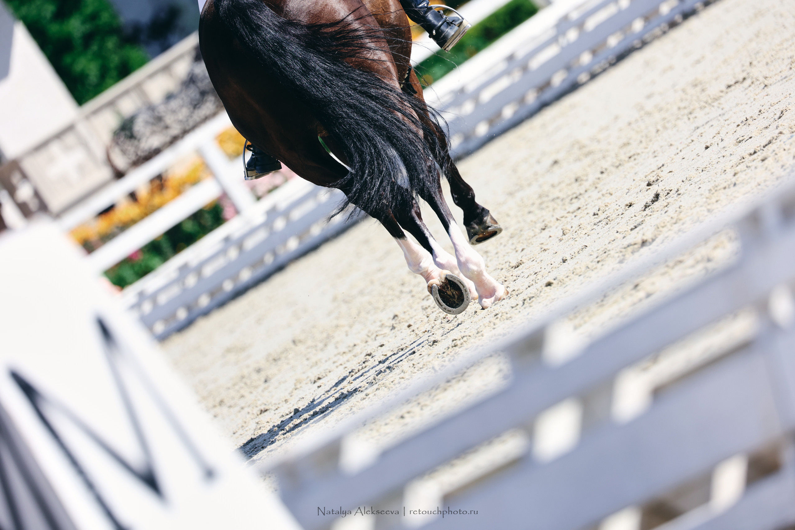 Летний Кубок ФКСМ по выездке, КСК Отрада | 07'2022. Репортажный фотограф и ретушер в Москве Наталья Алексеева