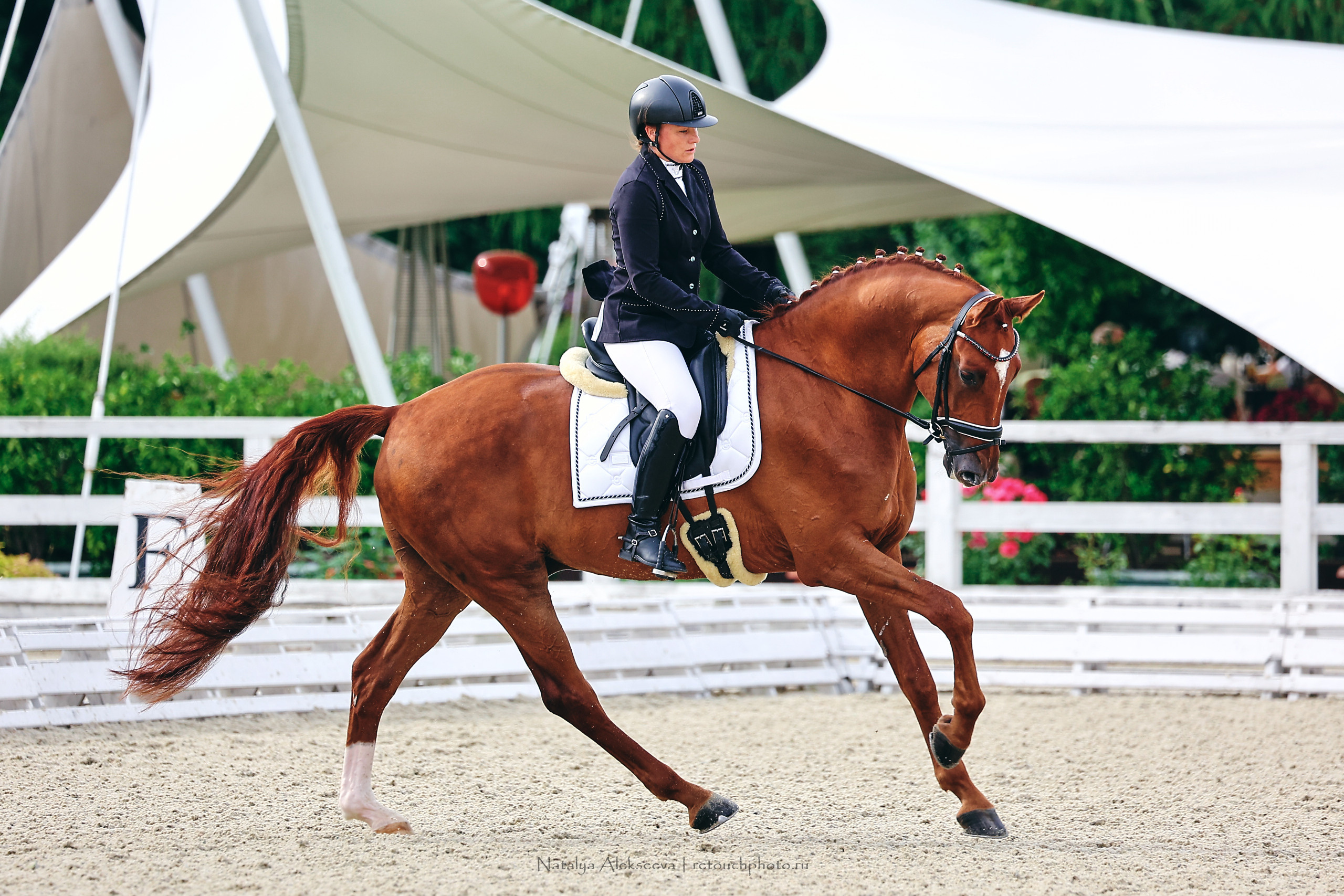 Летний Кубок ФКСМ по выездке, КСК Отрада | 07'2022. Репортажный фотограф и ретушер в Москве Наталья Алексеева