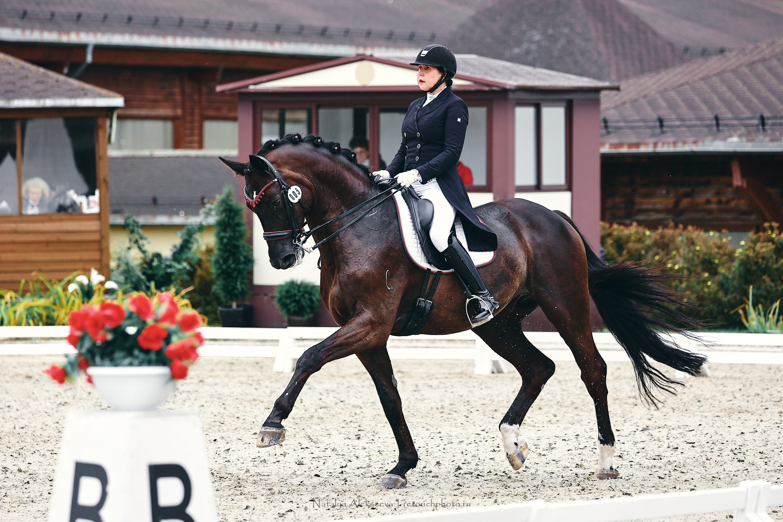 Личный ЧР по выездке, КСК Новый Век | 09'2022. Репортажный фотограф и ретушер в Москве Наталья Алексеева