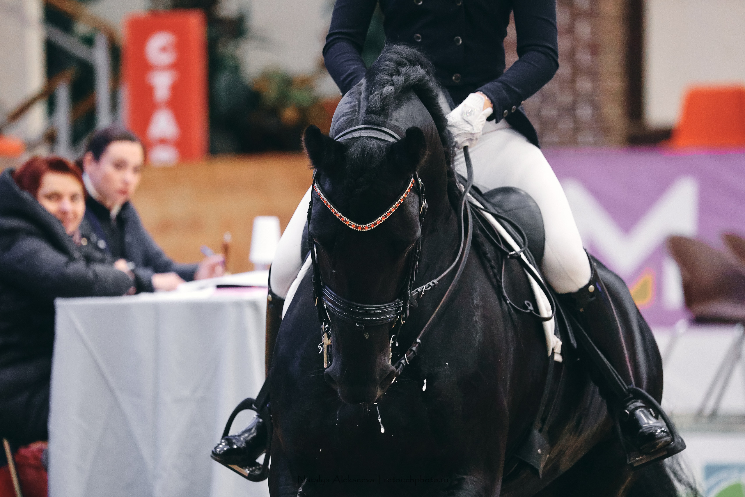 Eurasia Stars по выездке, Maxima Stables | 11'2022. Репортажный фотограф и ретушер в Москве Наталья Алексеева