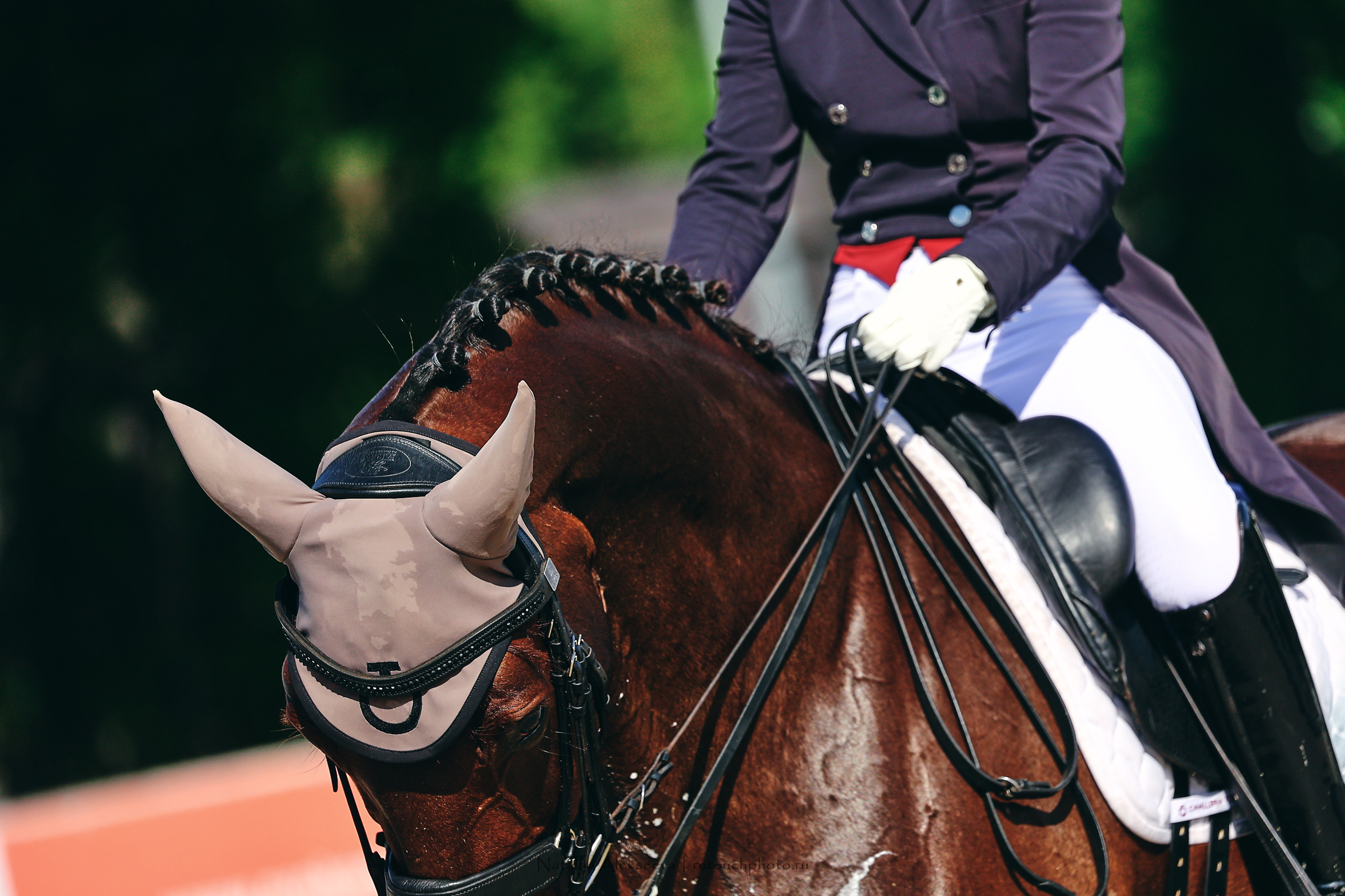 Летний Кубок ФКСМ по выездке, КСК Отрада | 07'2022. Репортажный фотограф и ретушер в Москве Наталья Алексеева