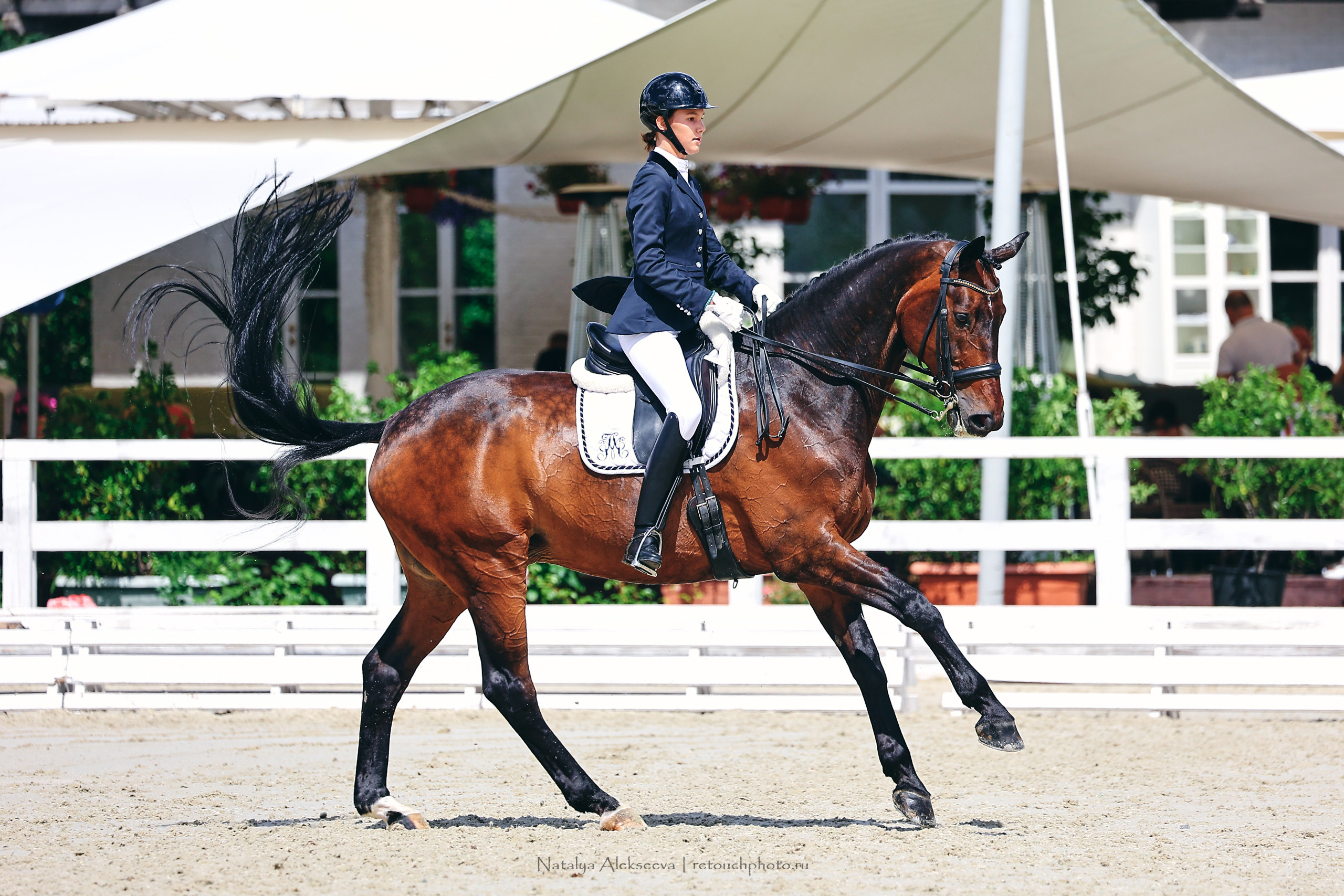 Летний Кубок ФКСМ по выездке, КСК Отрада | 07'2022. Репортажный фотограф и ретушер в Москве Наталья Алексеева