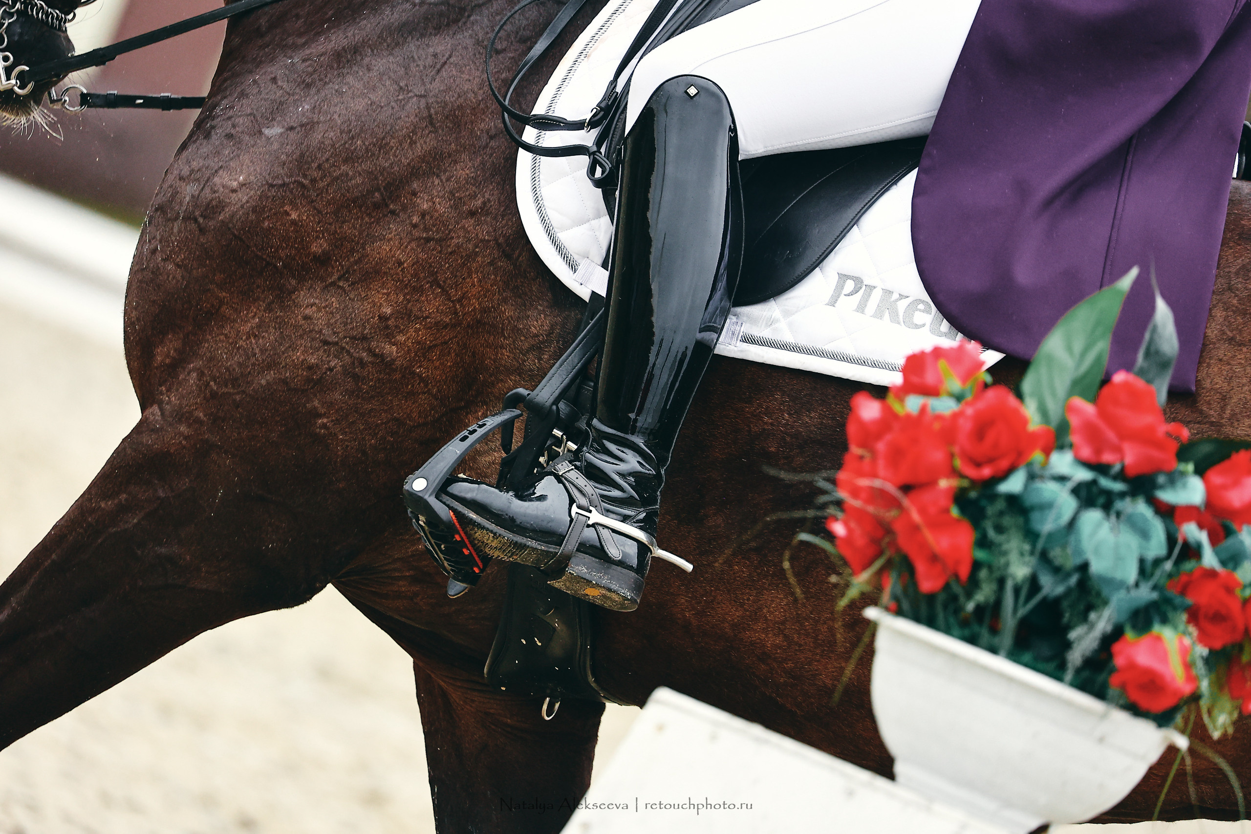 Личный ЧР по выездке, КСК Новый Век | 09'2022. Репортажный фотограф и ретушер в Москве Наталья Алексеева