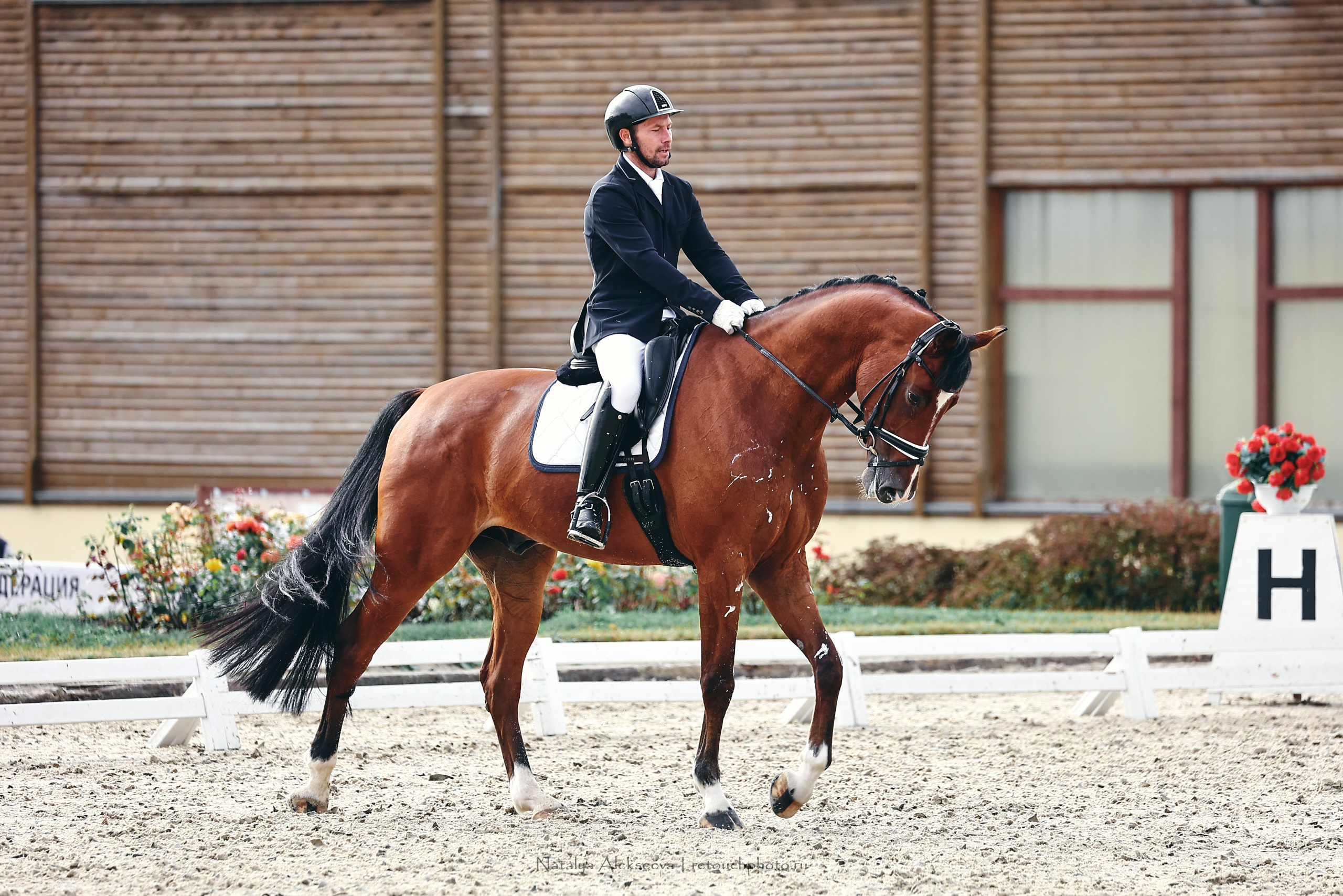 Личный ЧР по выездке, КСК Новый Век | 09'2022. Репортажный фотограф и ретушер в Москве Наталья Алексеева