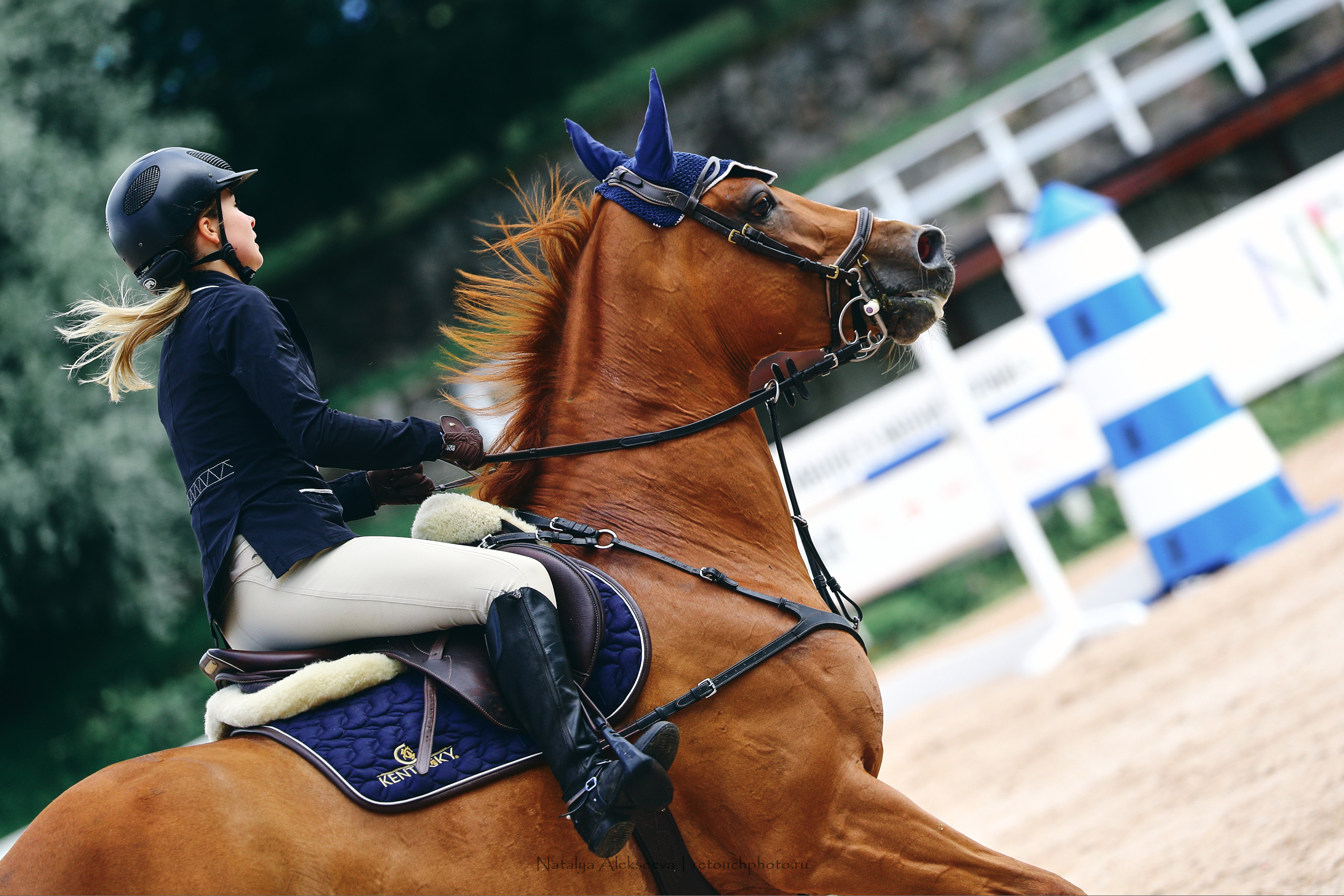 Кубок Санкт-Петербурга по конкуру, КСК Вента-Арена | 07'2022. Репортажный фотограф и ретушер в Москве Наталья Алексеева