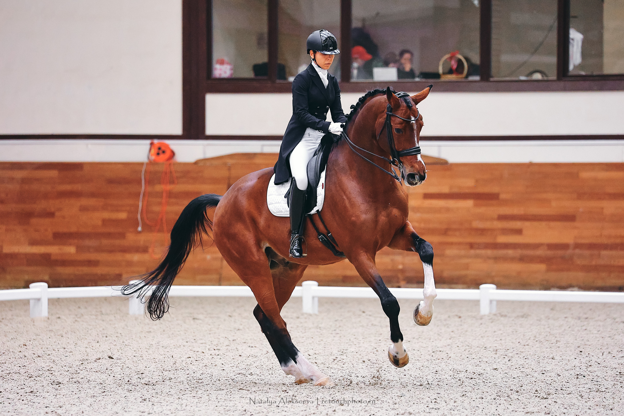 Финал Кубка Maxima Park по выездке, Maxima Stables | 10'2022. Репортажный фотограф и ретушер в Москве Наталья Алексеева