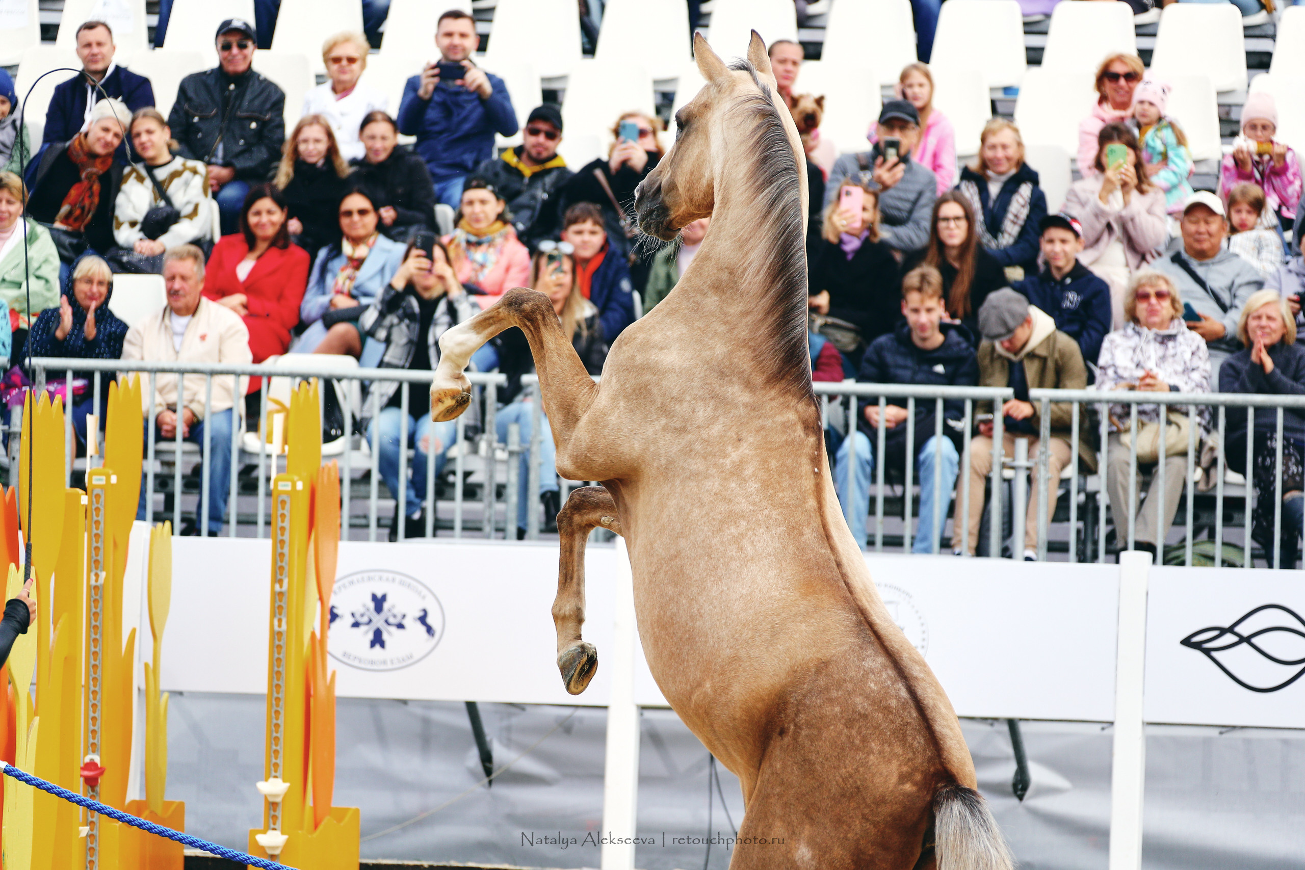 Кубок Х. М. Атакуева & BitRiver Cup, ВДНХ | 09'2022. Репортажный фотограф и ретушер в Москве Наталья Алексеева