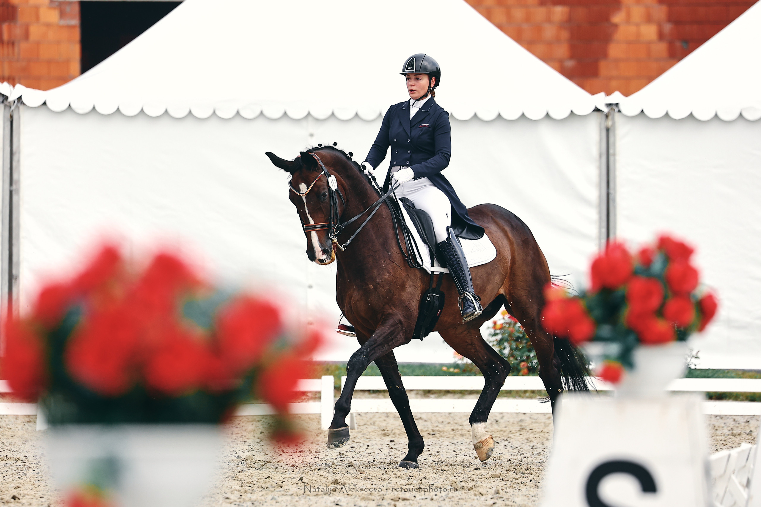 Личный ЧР по выездке, КСК Новый Век | 09'2022. Репортажный фотограф и ретушер в Москве Наталья Алексеева