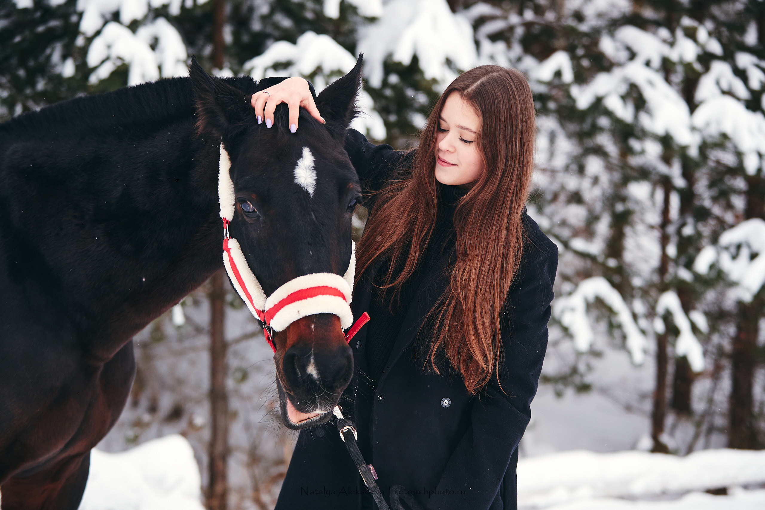 Аль Кампо и его люди, КСК Шарапово. Репортажный фотограф и ретушер в Москве Наталья Алексеева