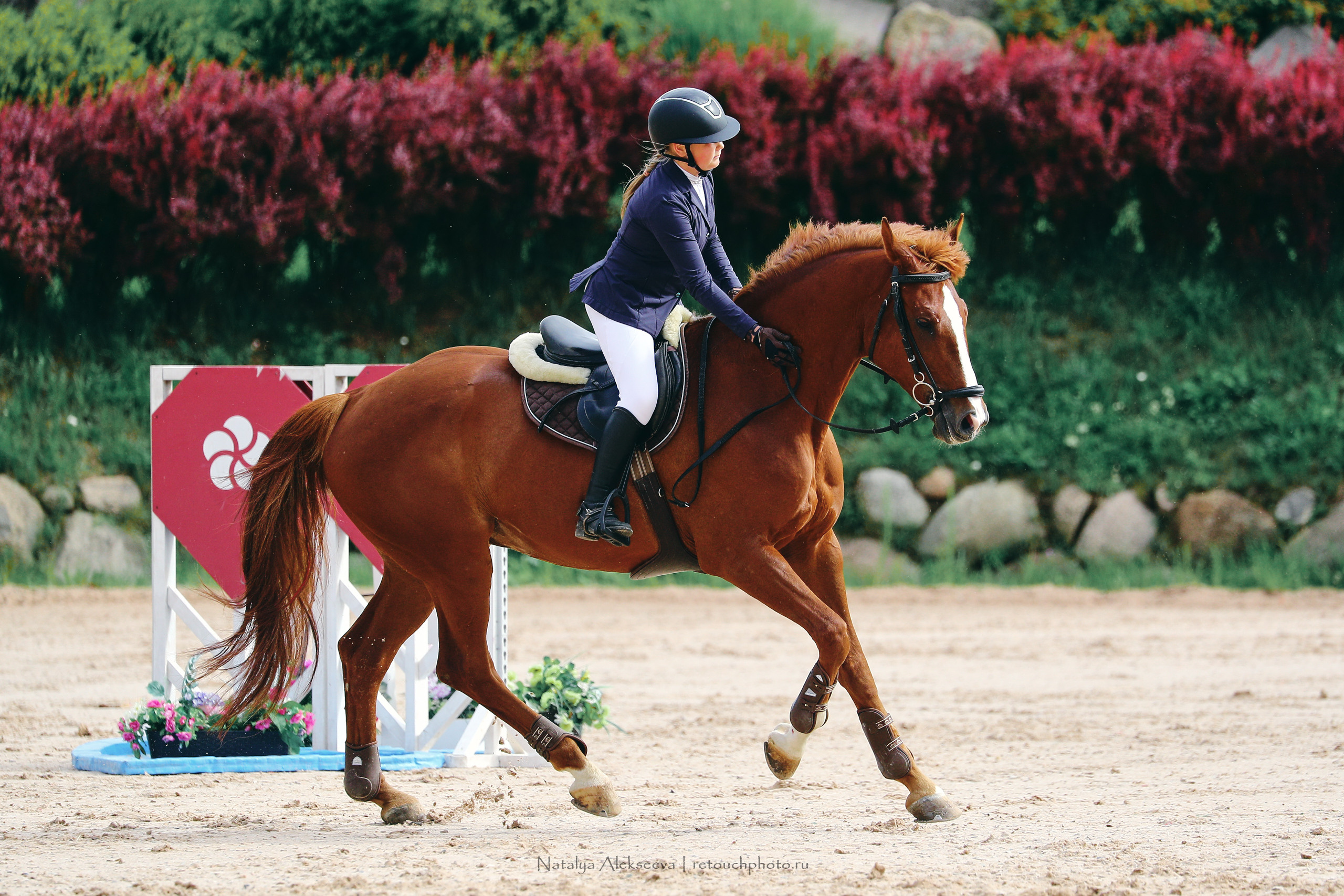 Кубок Санкт-Петербурга по конкуру, КСК Вента-Арена | 07'2022. Репортажный фотограф и ретушер в Москве Наталья Алексеева