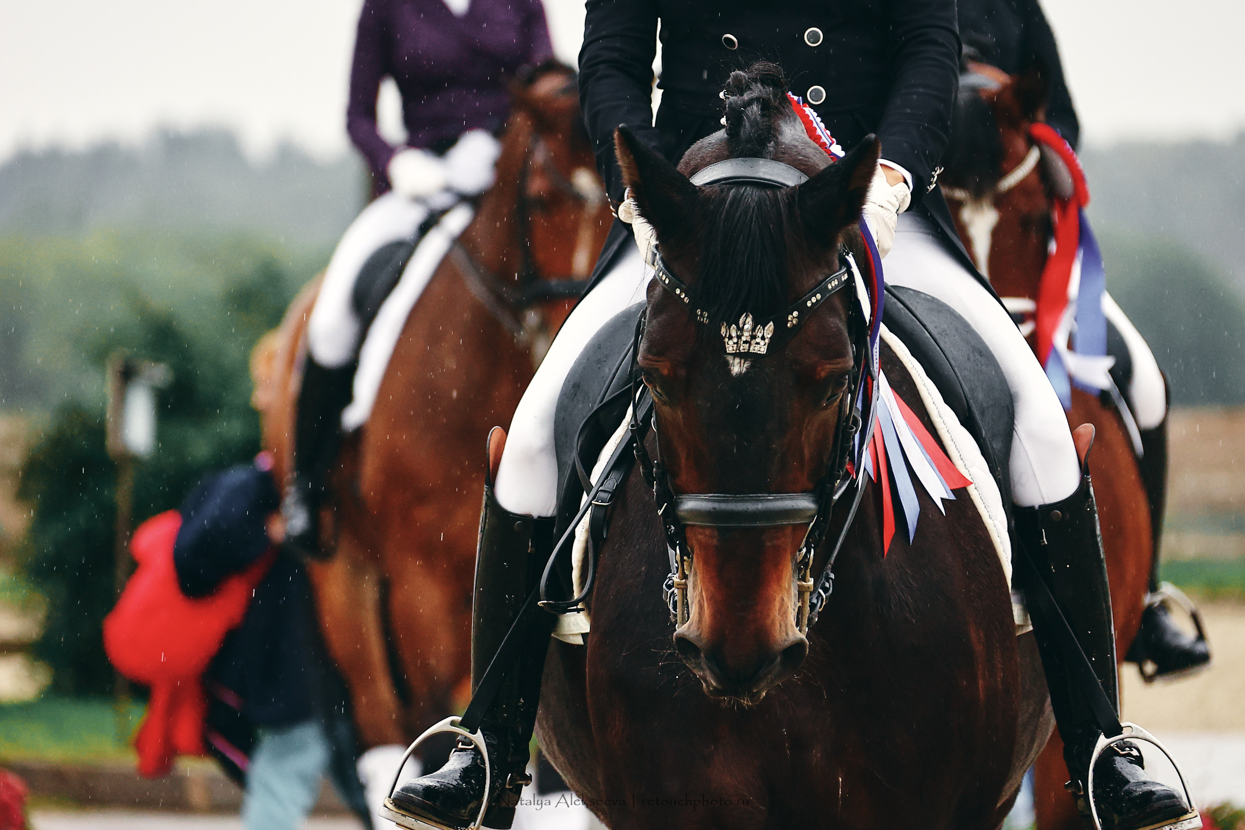 Личный ЧР по выездке, КСК Новый Век | 09'2022. Репортажный фотограф и ретушер в Москве Наталья Алексеева