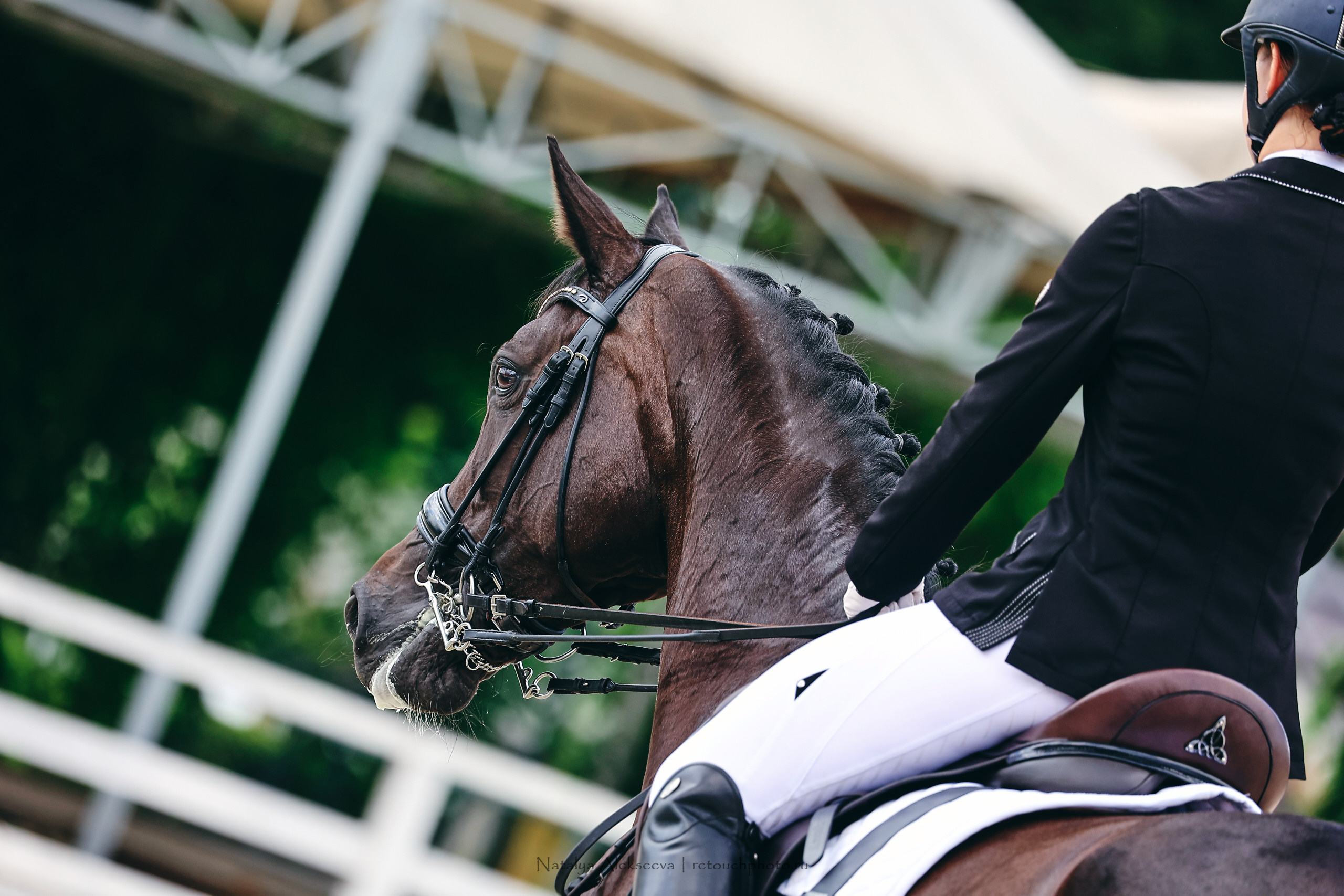 Летний Кубок ФКСМ по выездке, КСК Отрада | 07'2022. Репортажный фотограф и ретушер в Москве Наталья Алексеева