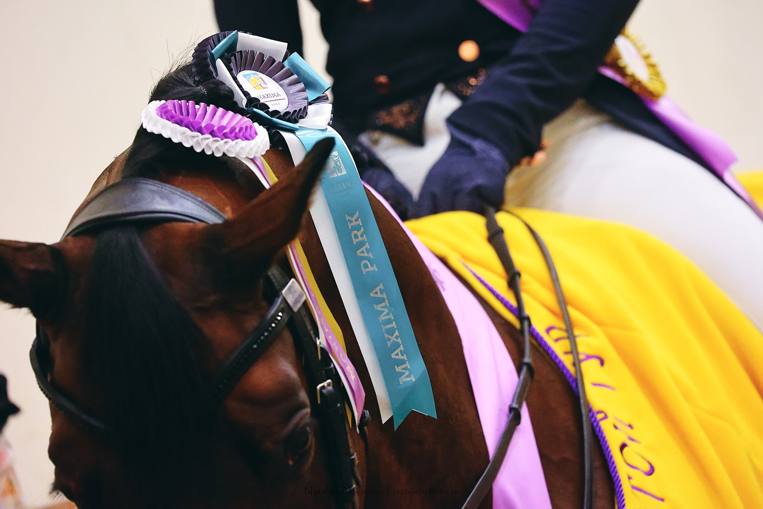 Финал Кубка Maxima Park по выездке, Maxima Stables | 10'2022. Репортажный фотограф и ретушер в Москве Наталья Алексеева