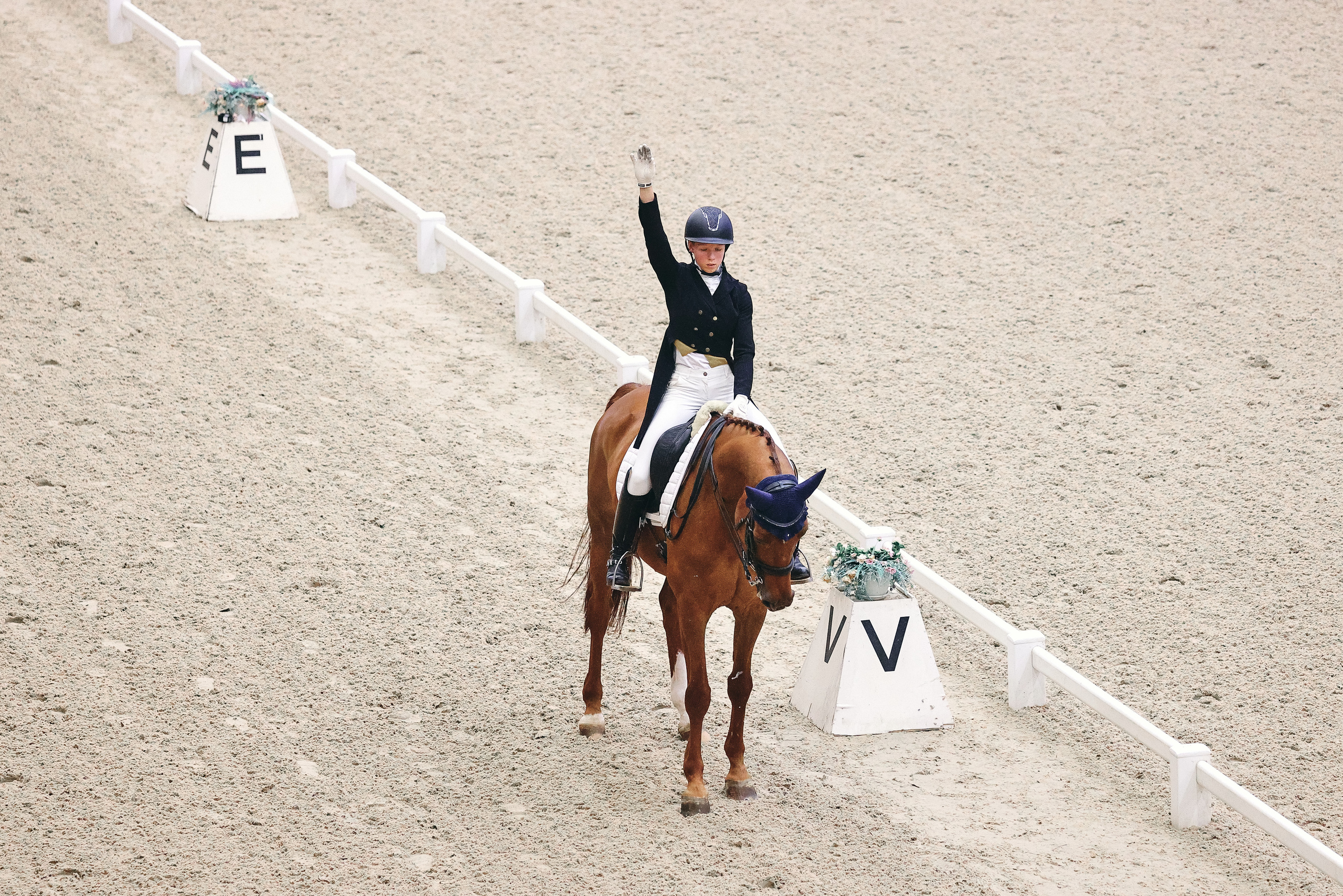 Eurasia Stars по выездке, Maxima Stables | 11'2022