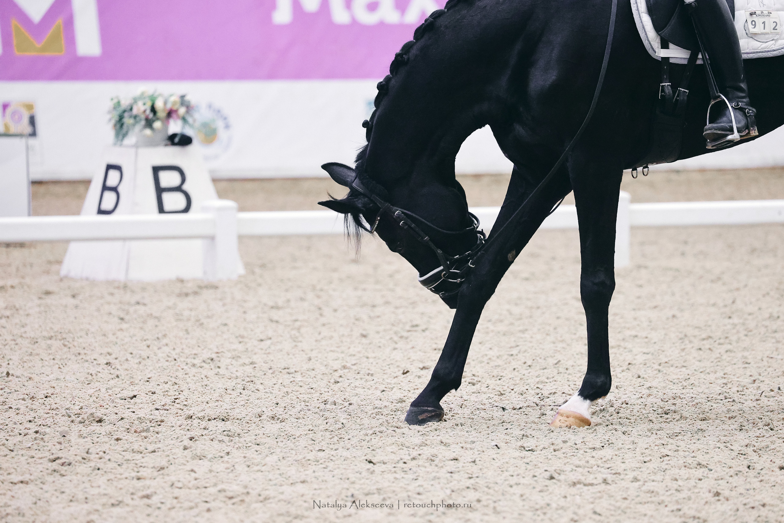 Eurasia Stars по выездке, Maxima Stables | 11'2022. Репортажный фотограф и ретушер в Москве Наталья Алексеева