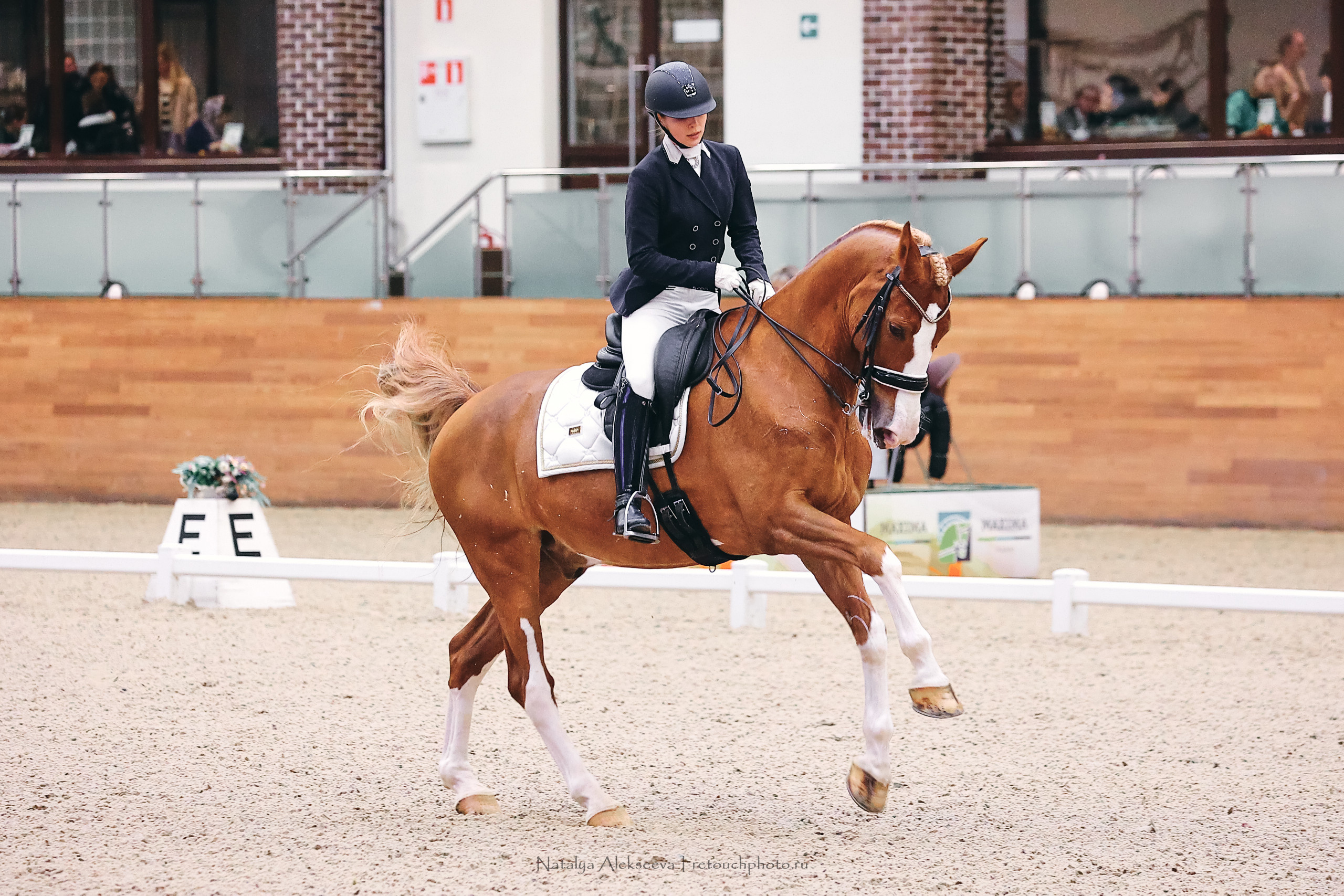 Финал Кубка Maxima Park по выездке, Maxima Stables | 10'2022. Репортажный фотограф и ретушер в Москве Наталья Алексеева