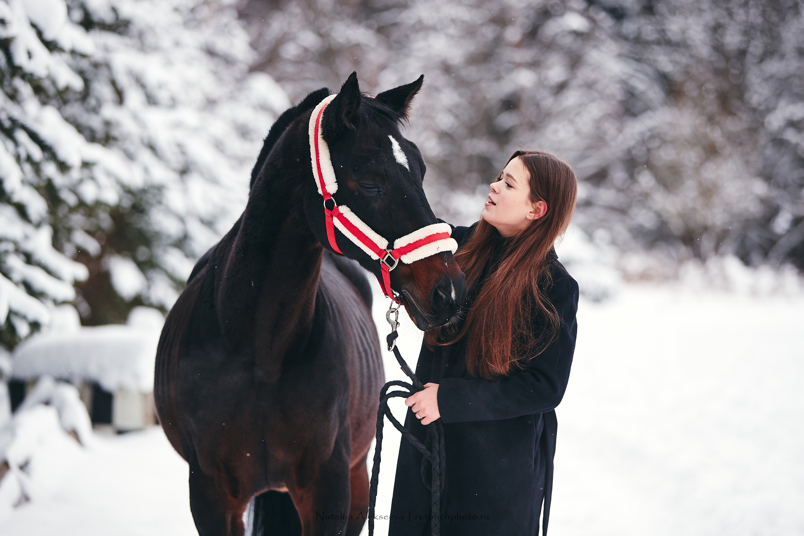 Аль Кампо и его люди, КСК Шарапово. Репортажный фотограф и ретушер в Москве Наталья Алексеева
