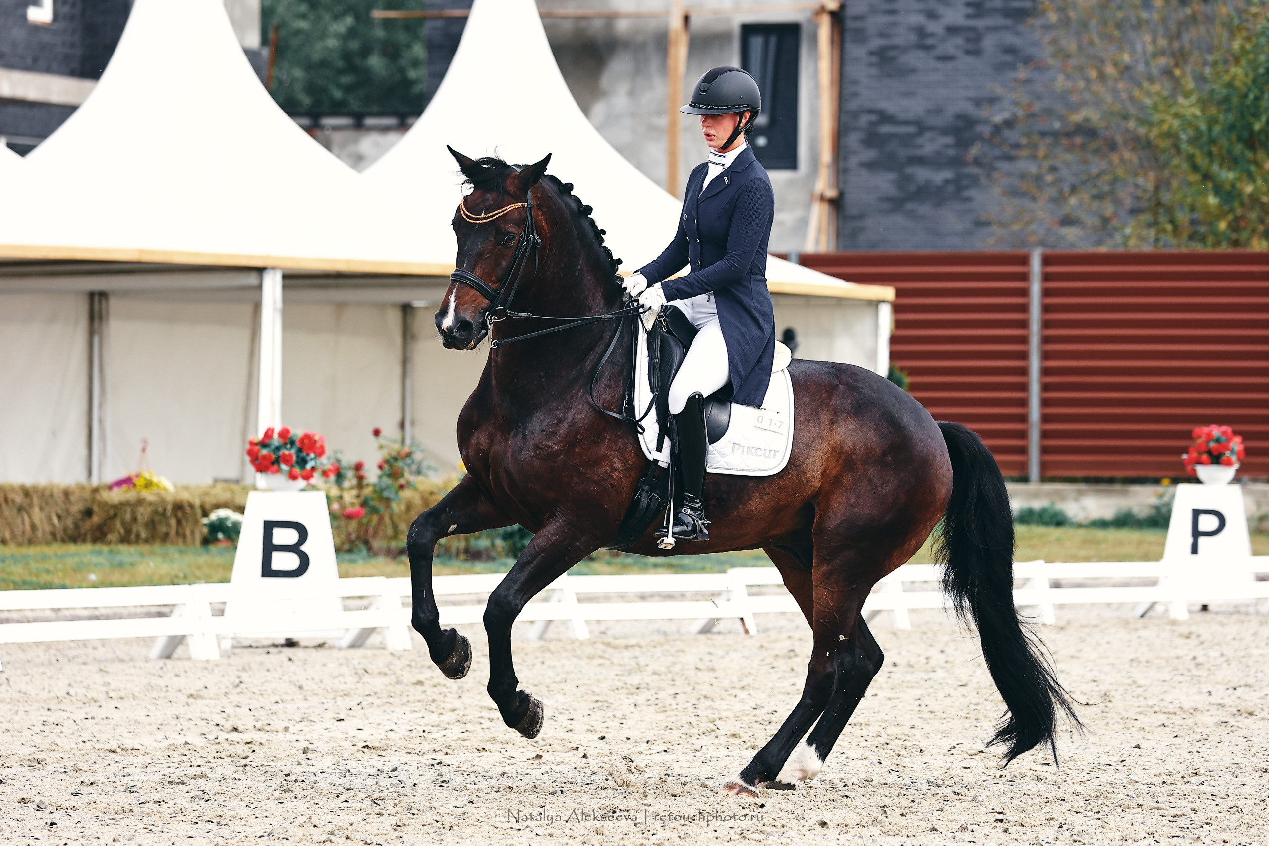 Личный ЧР по выездке, КСК Новый Век | 09'2022. Репортажный фотограф и ретушер в Москве Наталья Алексеева