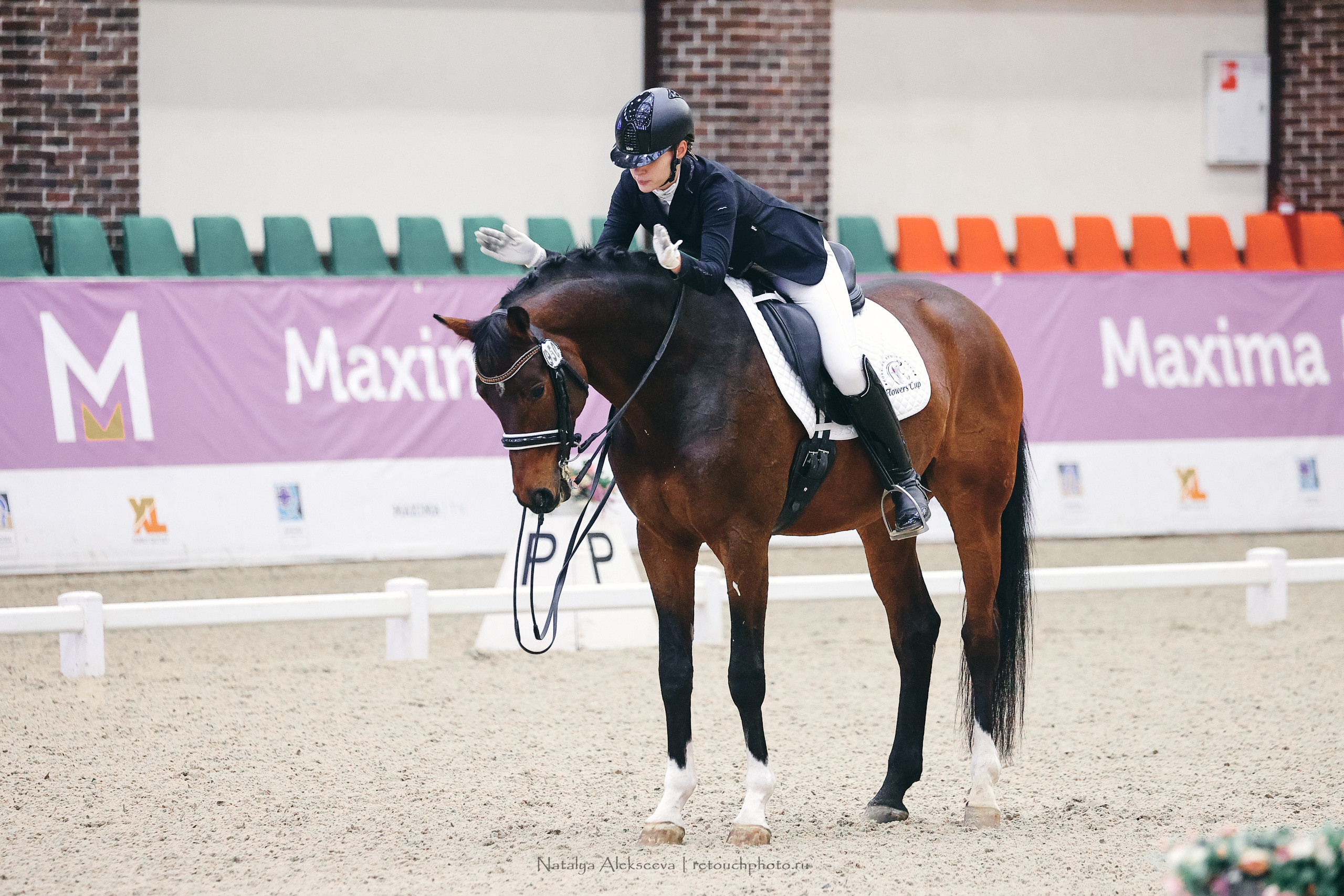 Eurasia Stars по выездке, Maxima Stables | 11'2022. Репортажный фотограф и ретушер в Москве Наталья Алексеева