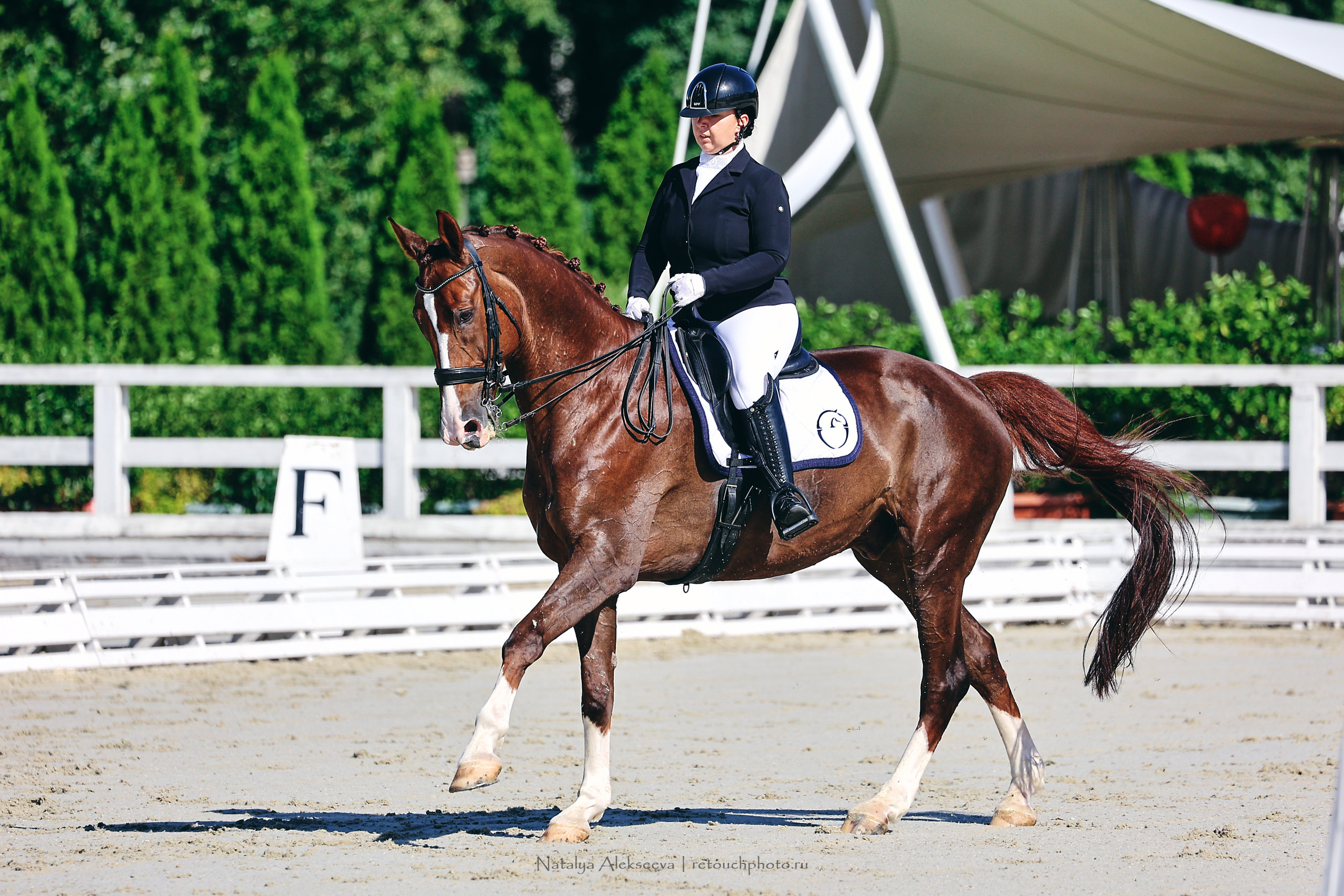 Летний Кубок ФКСМ по выездке, КСК Отрада | 07'2022. Репортажный фотограф и ретушер в Москве Наталья Алексеева