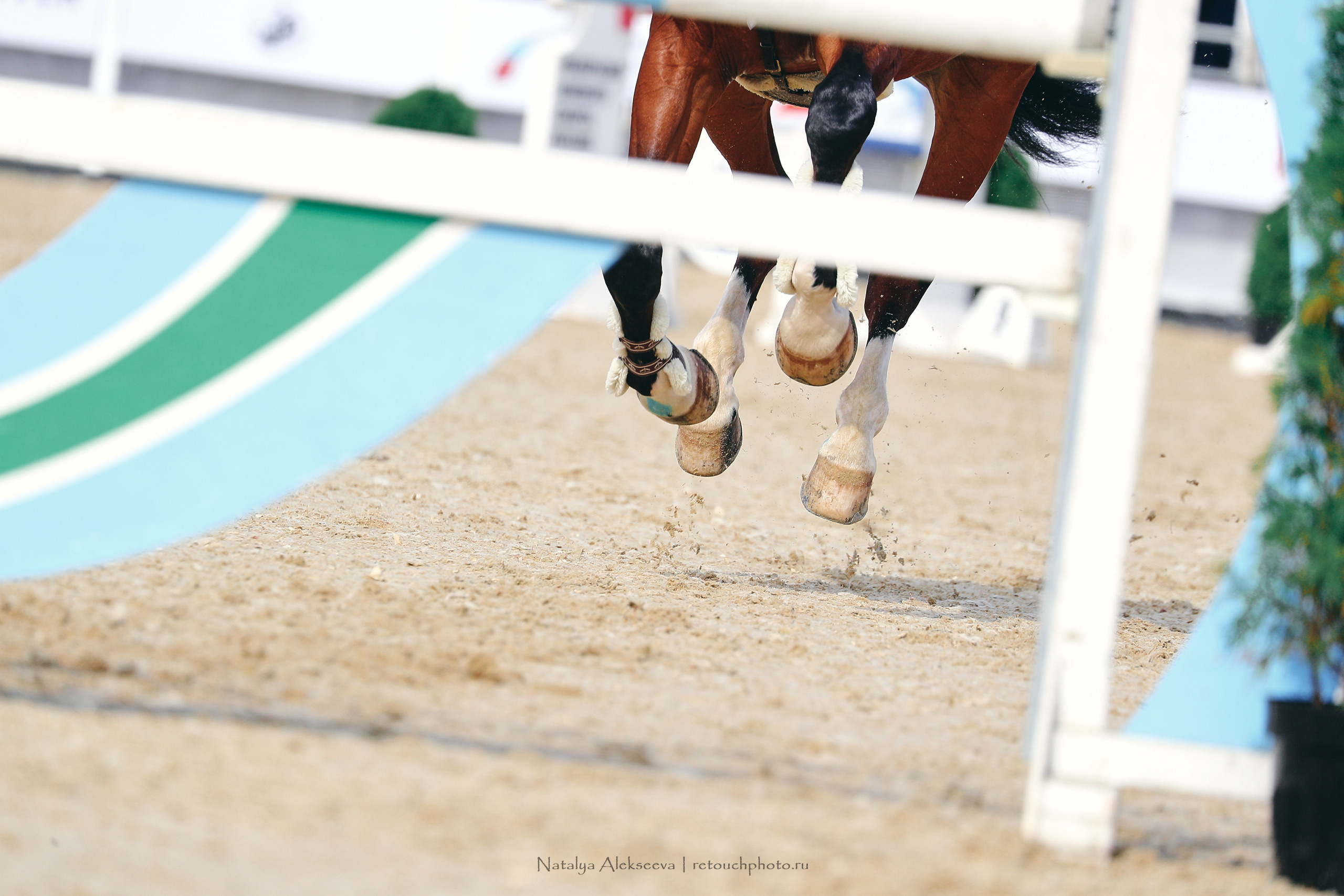 Кубок Х. М. Атакуева & BitRiver Cup, ВДНХ | 09'2022. Репортажный фотограф и ретушер в Москве Наталья Алексеева