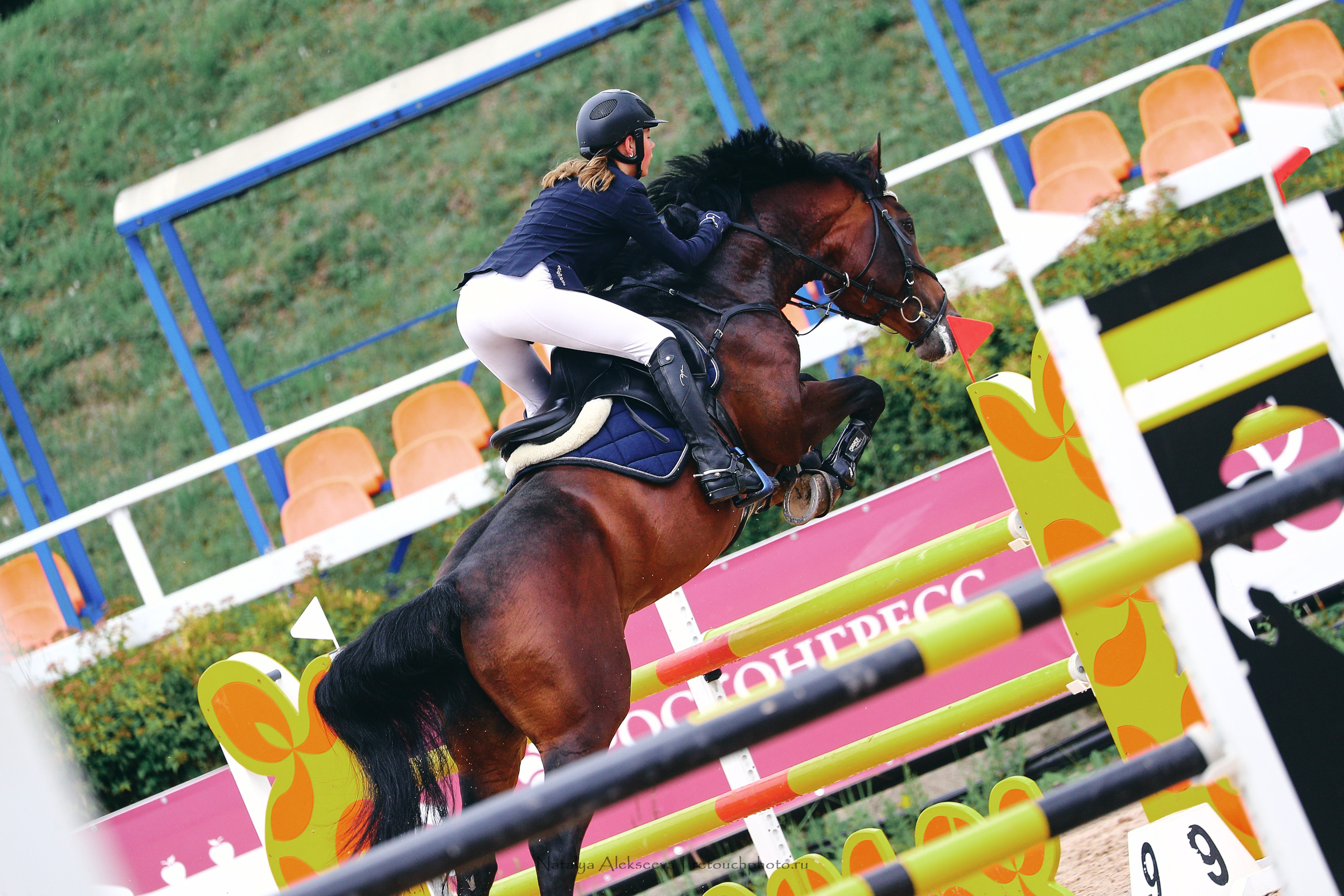 Кубок Санкт-Петербурга по конкуру, КСК Вента-Арена | 07'2022. Репортажный фотограф и ретушер в Москве Наталья Алексеева