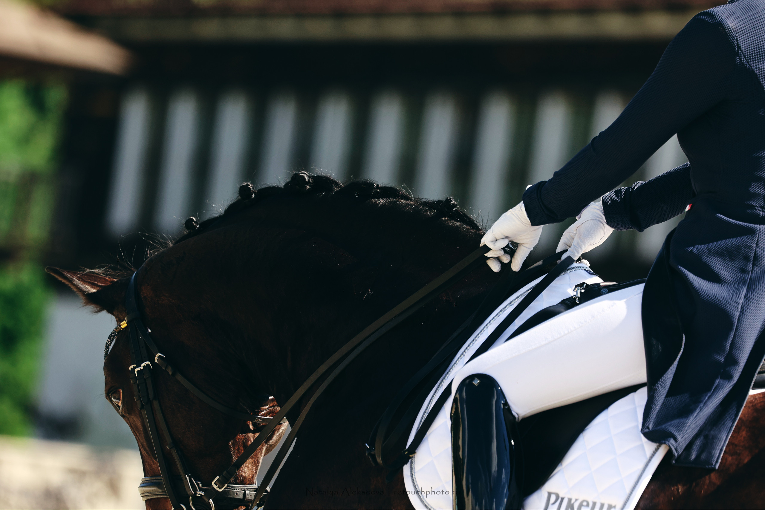 Летний Кубок ФКСМ по выездке, КСК Отрада | 07'2022. Репортажный фотограф и ретушер в Москве Наталья Алексеева