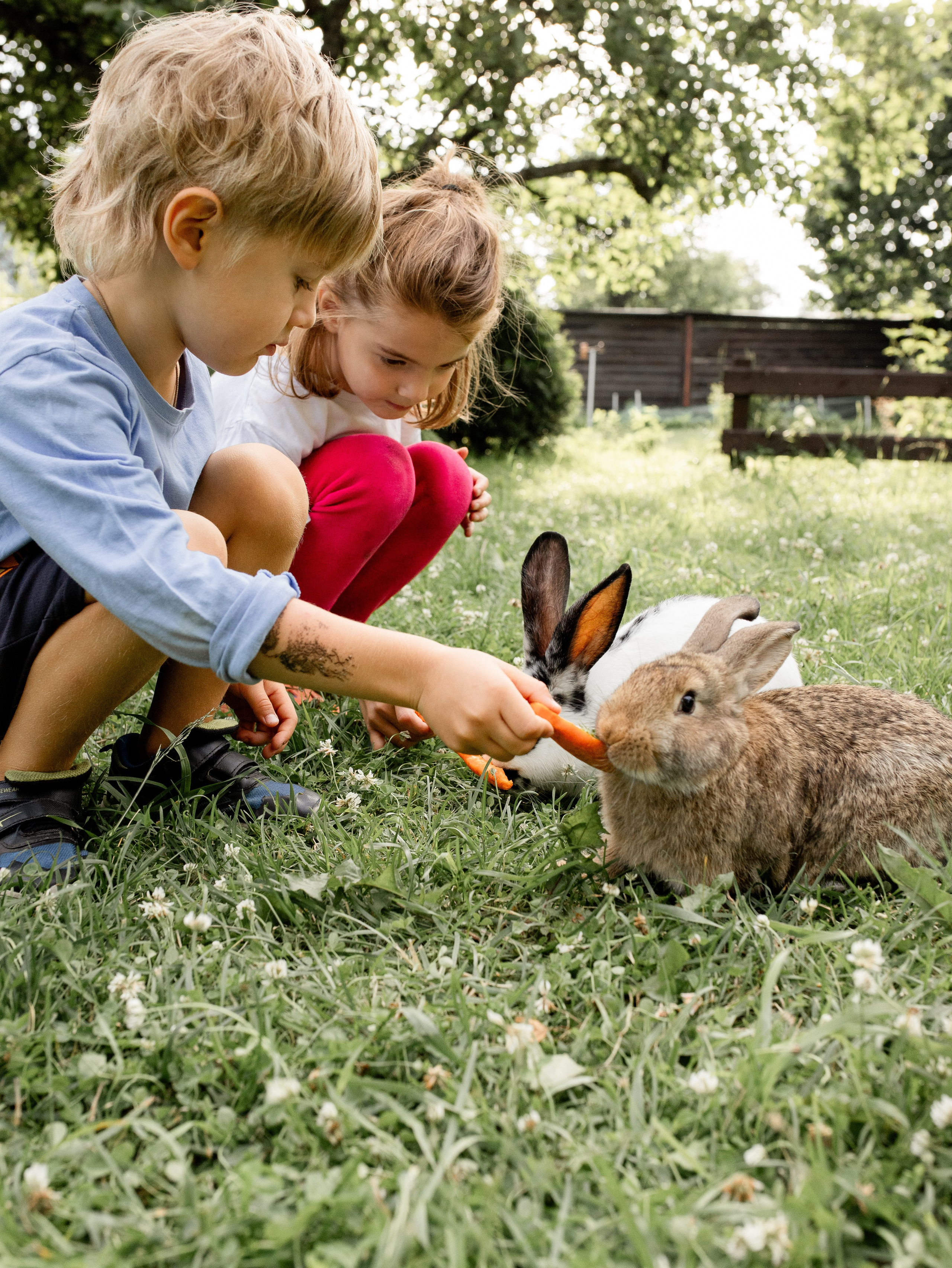 Кролики 2023. Семейный фотограф в Санкт-Петербурге Ирина Иванова