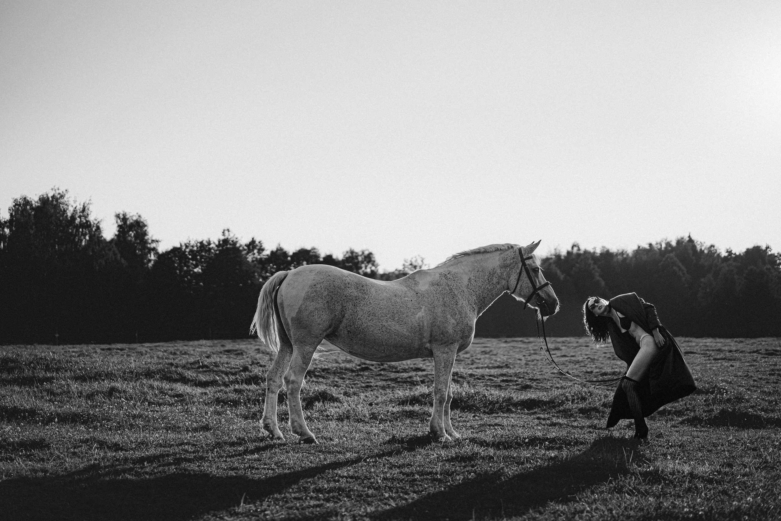 Девушка с лошадью в поле