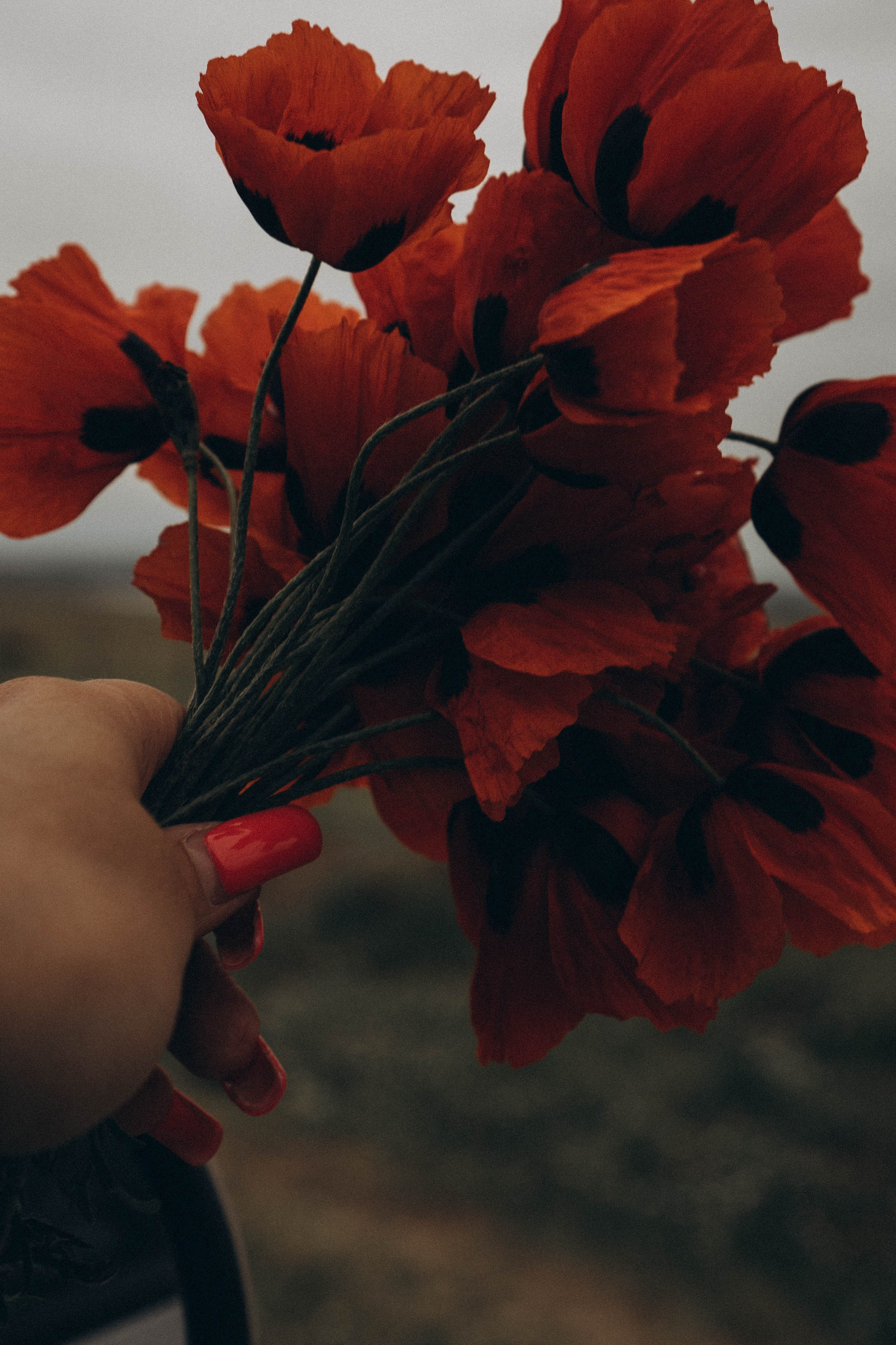 Путешествие в Дагестане. Профессиональный фотограф, Санкт-Петербург — Виктория Богомолова