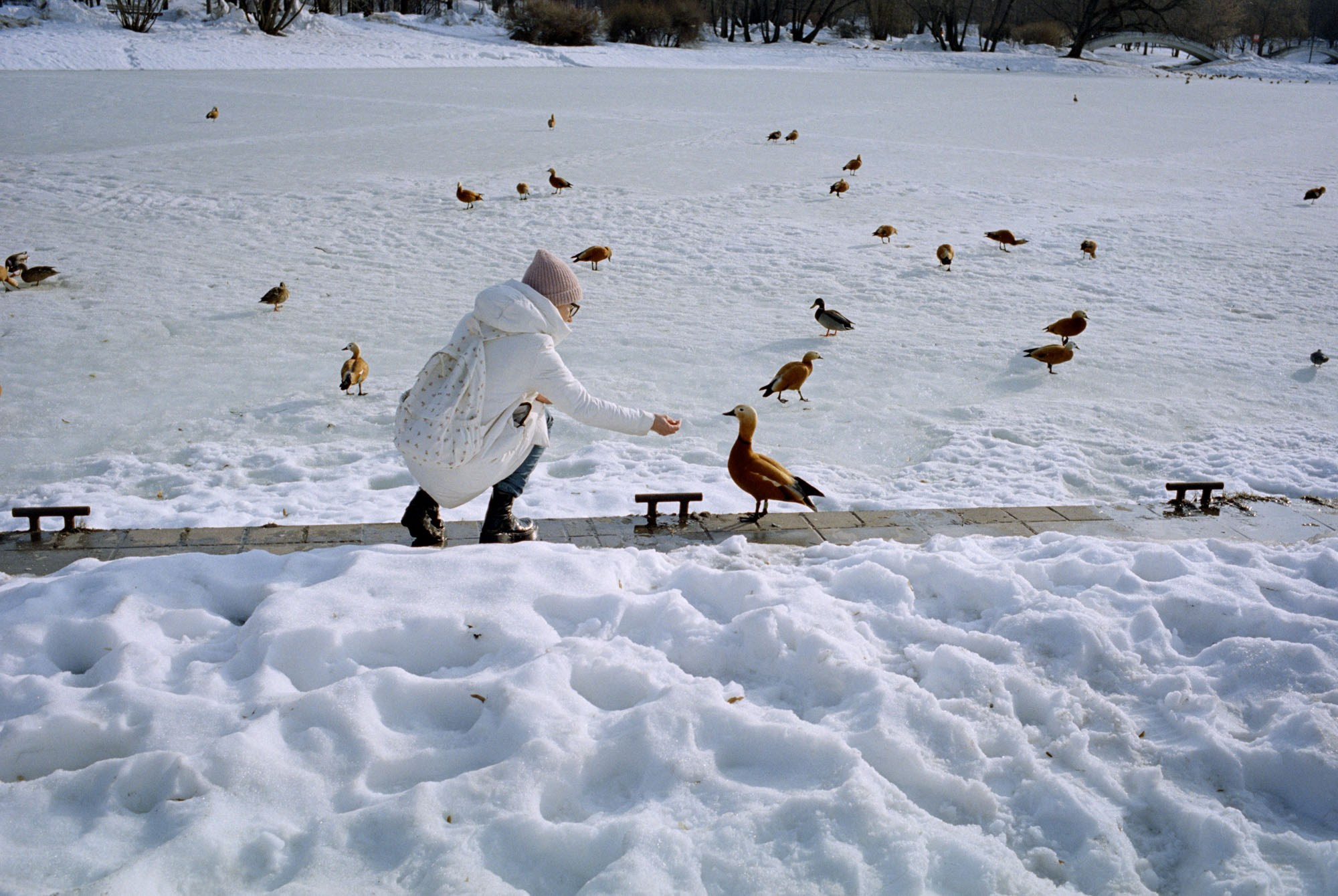 Moscow color/Москва. В поиске цвета. Документальный фотограф Алексей Мякишев, Москва
