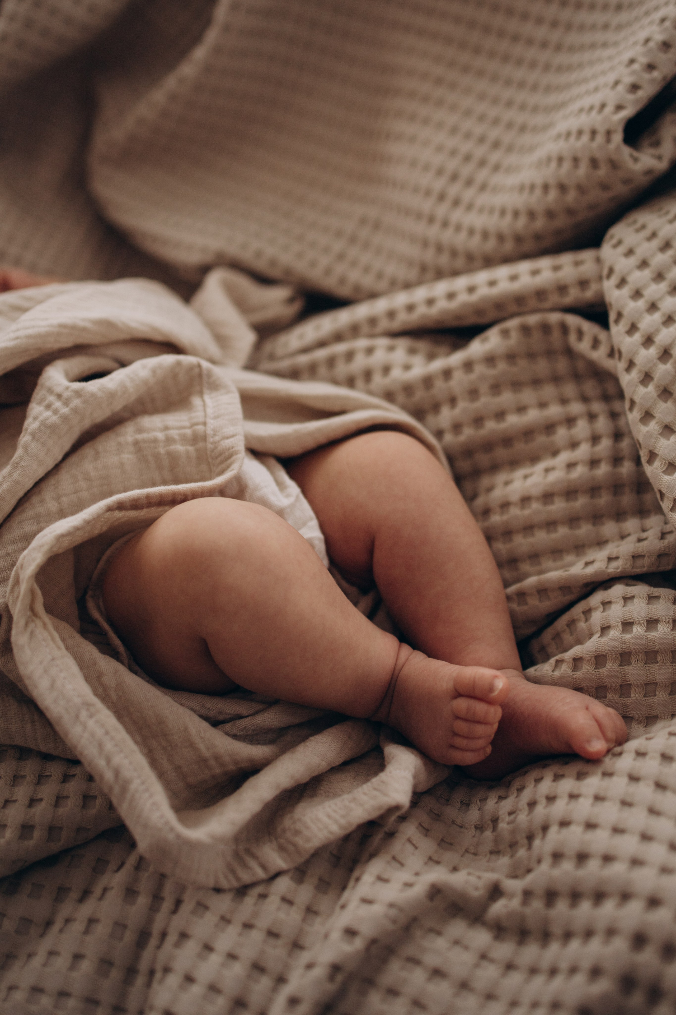 Наташа и Агата. Семейный фотограф Екатерина Еремеева