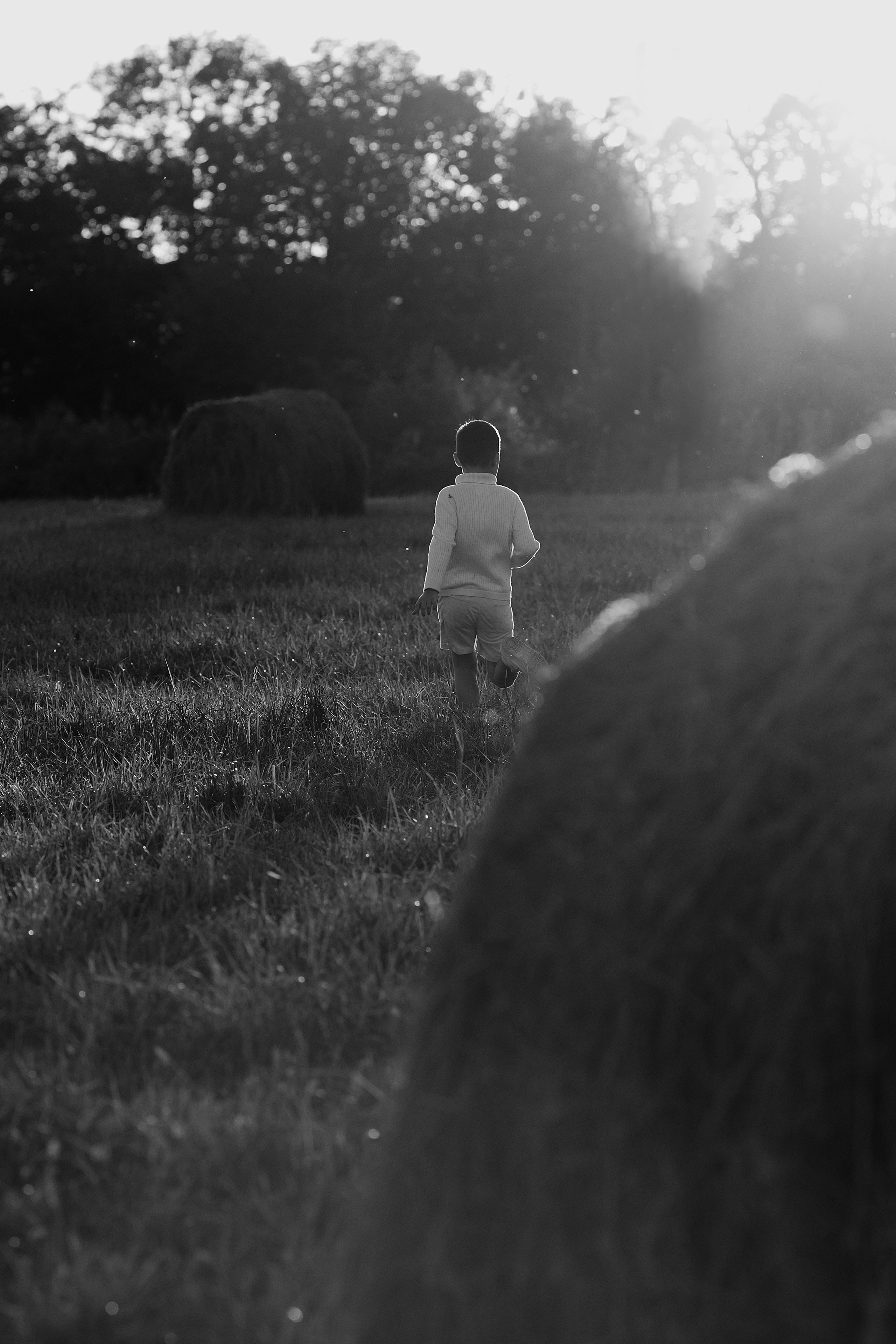 Семейная съемка в поле. Свадебный и семейный фотограф  во Владивостоке Ольга Украинец