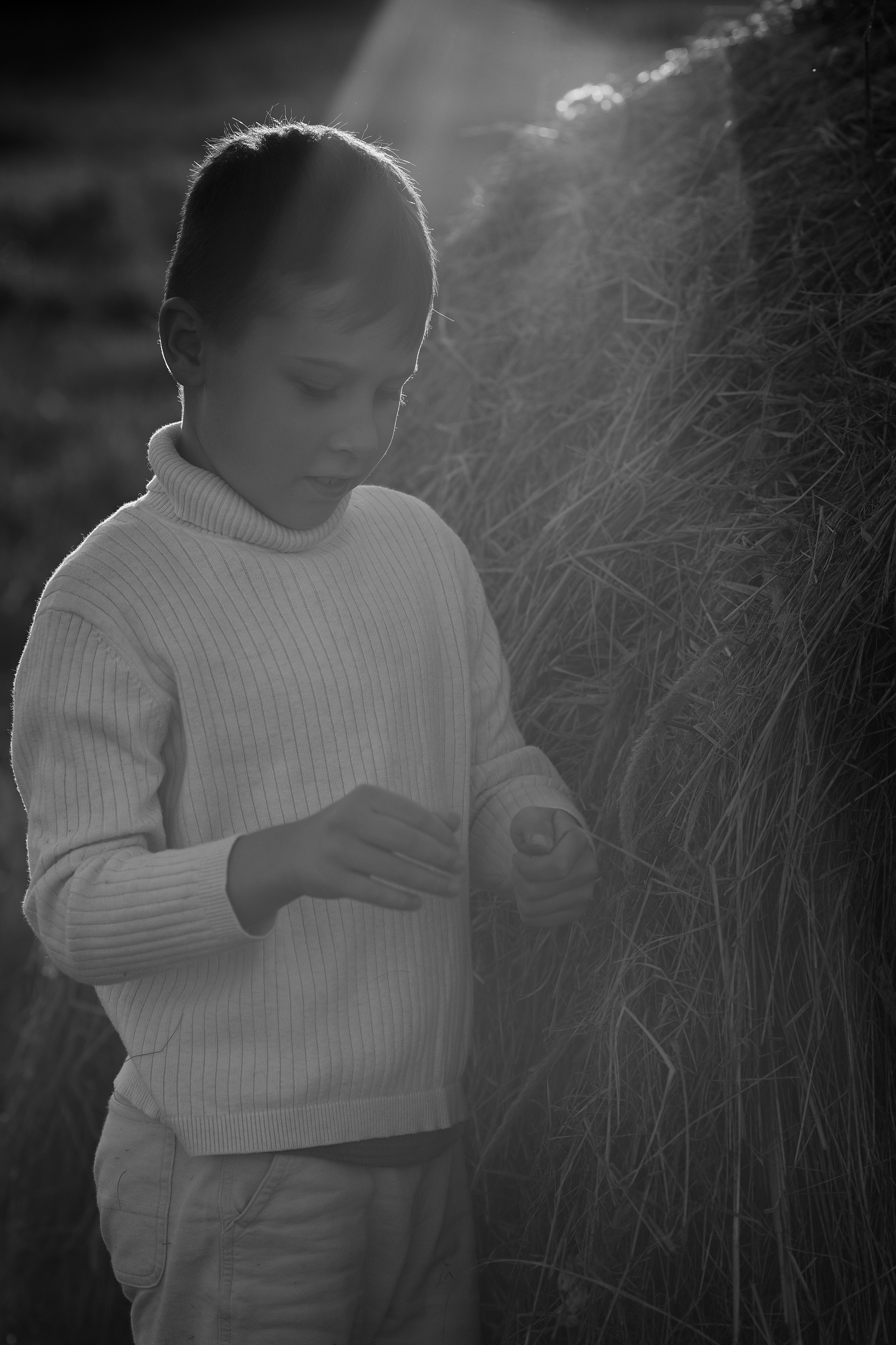 Семейная съемка в поле. Свадебный и семейный фотограф  во Владивостоке Ольга Украинец