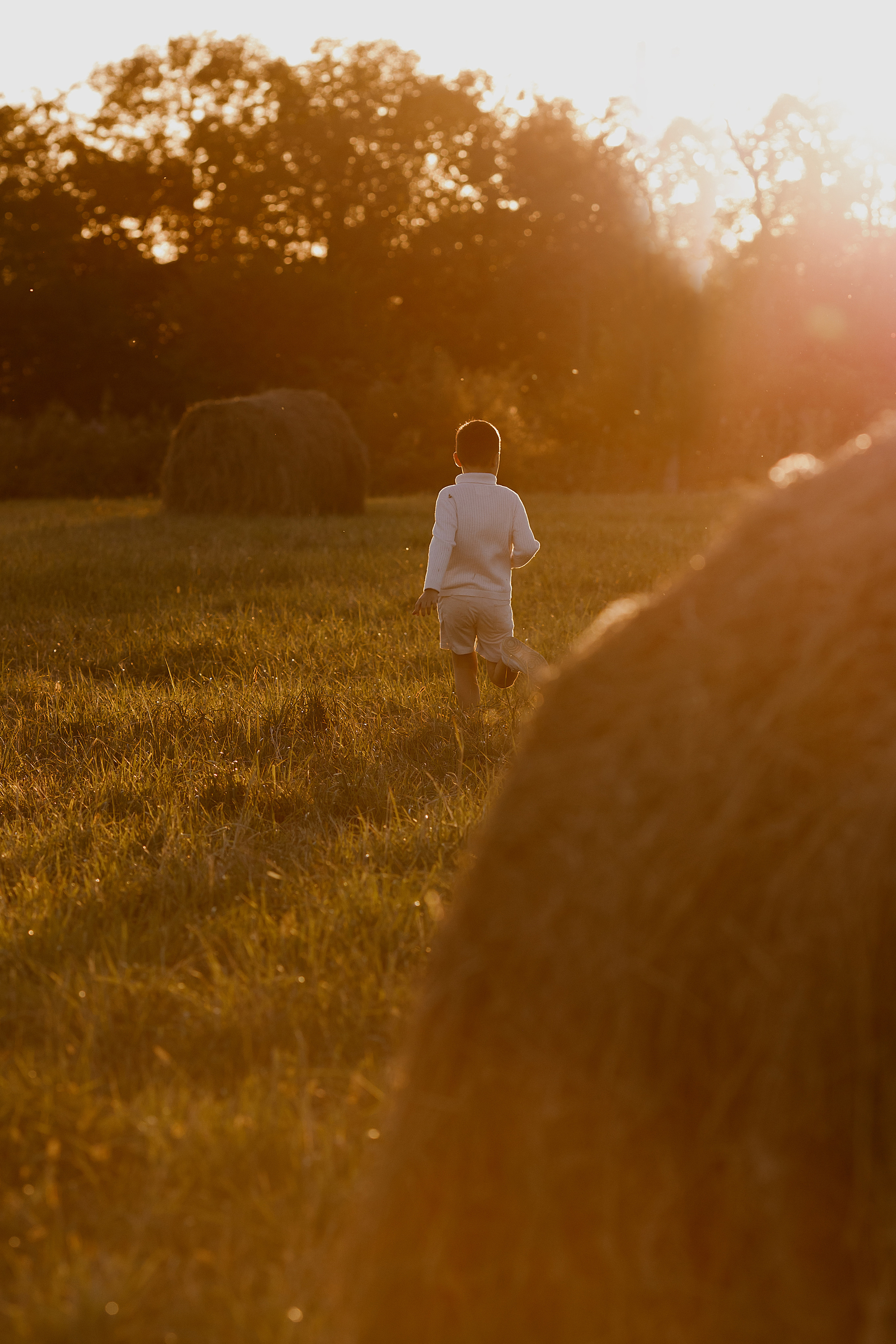 Семейная съемка в поле. Свадебный и семейный фотограф  во Владивостоке Ольга Украинец