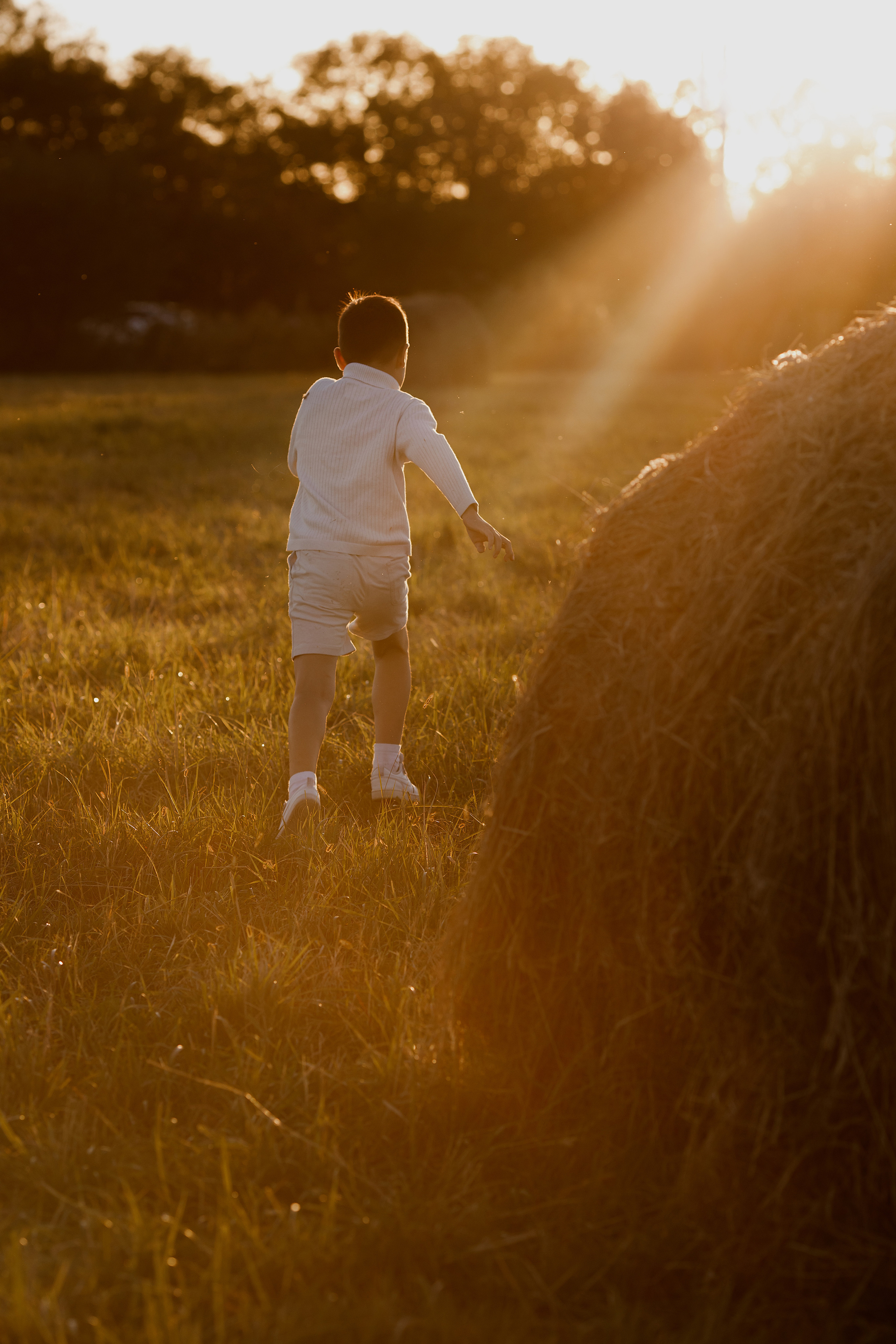 Семейная съемка в поле. Свадебный и семейный фотограф  во Владивостоке Ольга Украинец