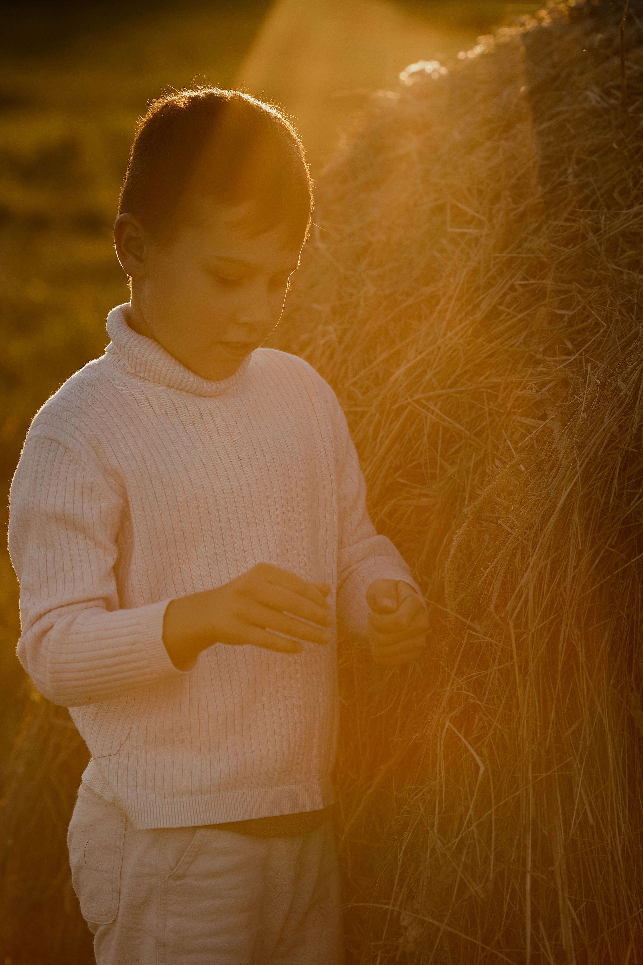 Семейная съемка в поле. Свадебный и семейный фотограф  во Владивостоке Ольга Украинец