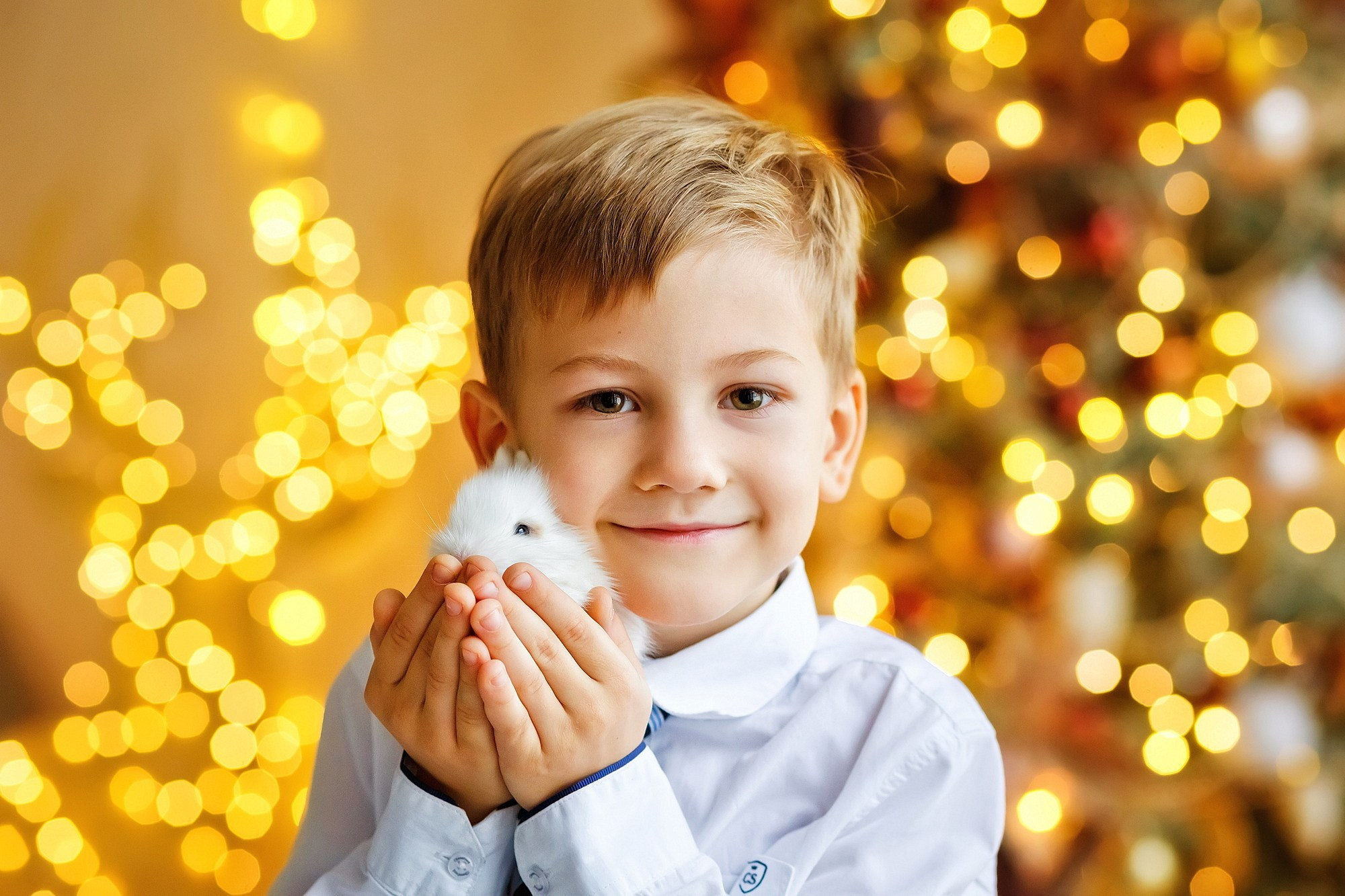 . Фотограф в Москве и Одинцово