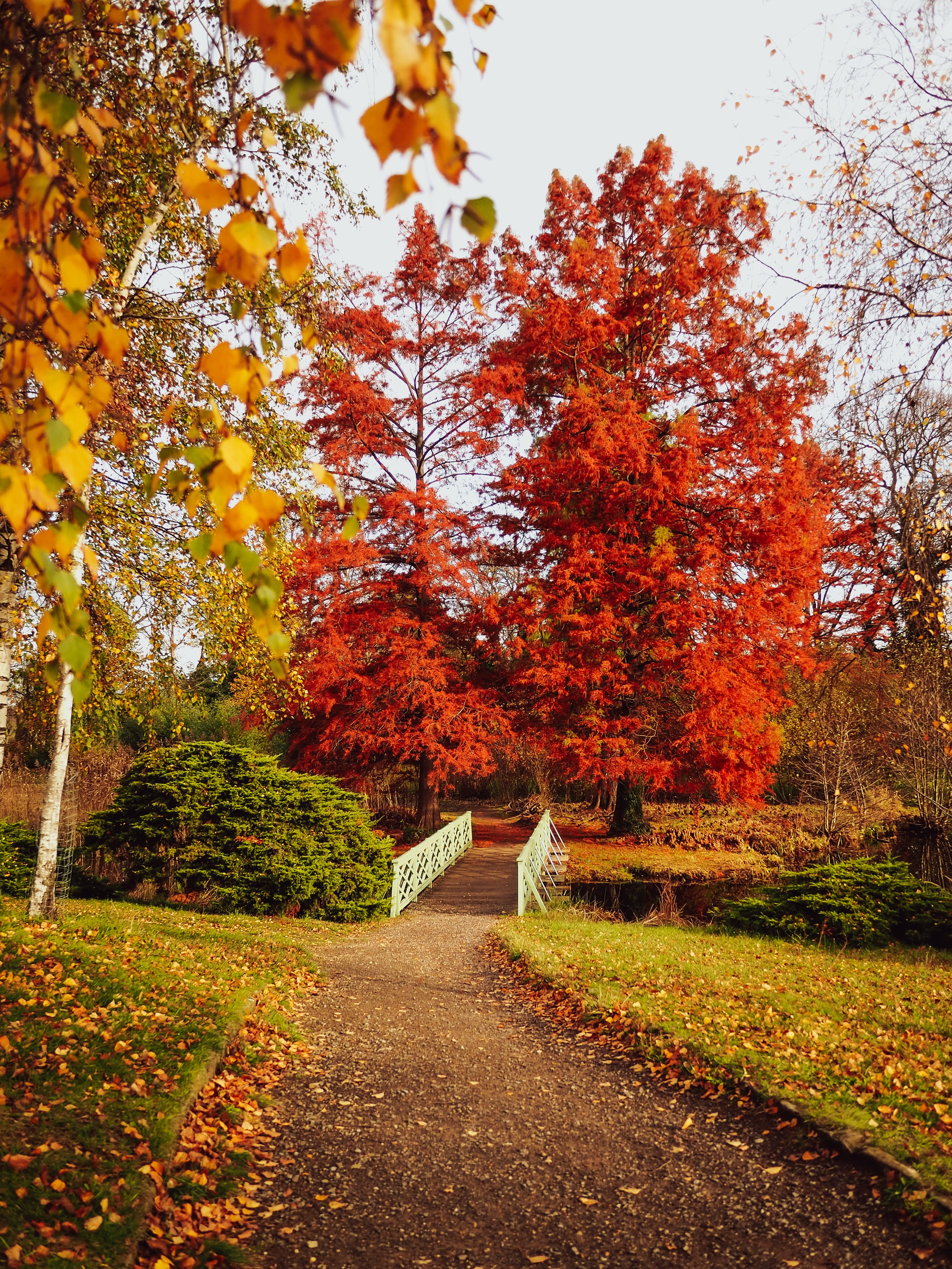 Осень в Потсдаме. Германия