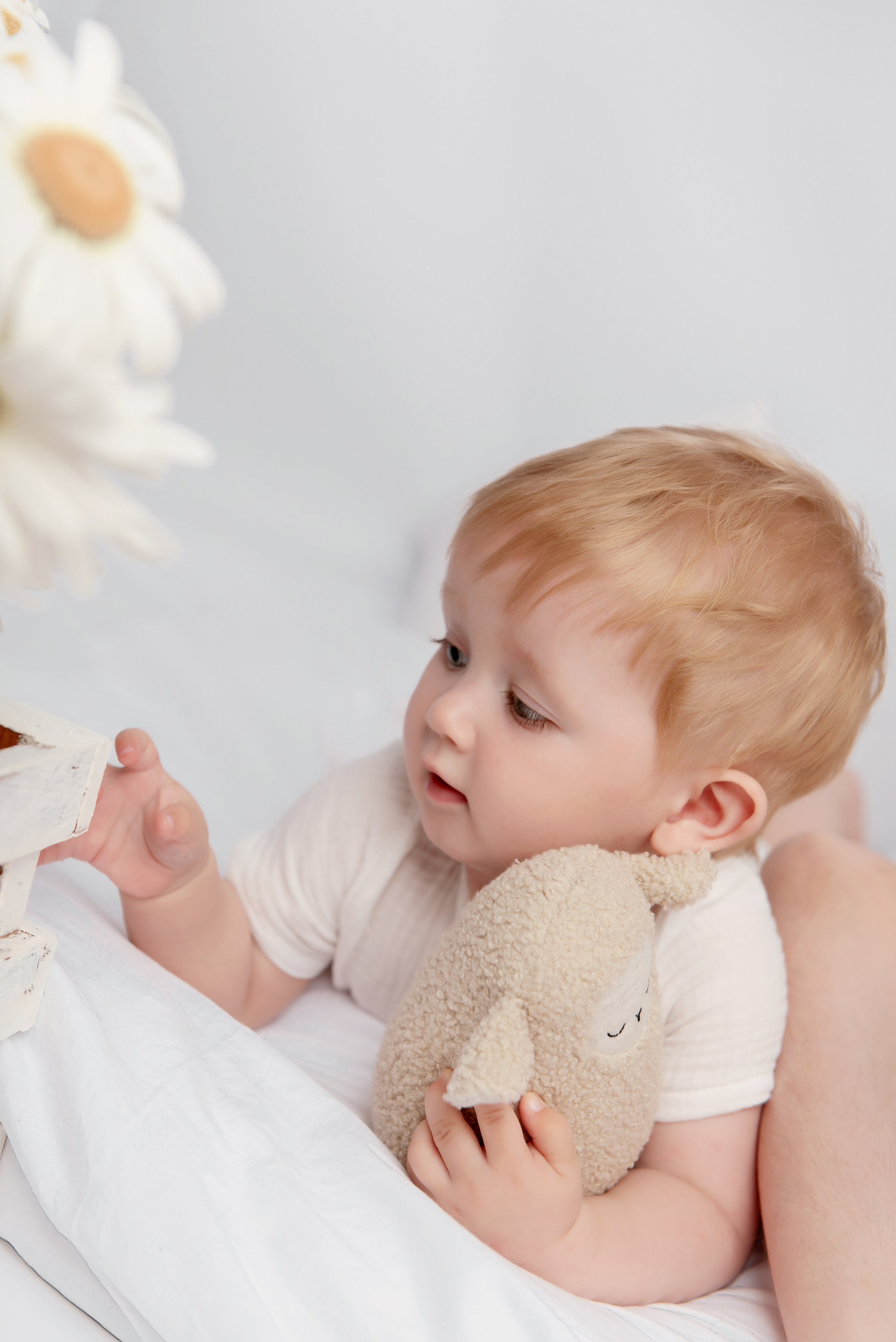 Ромашки. Детский фотограф в Долгопрудном и Москве