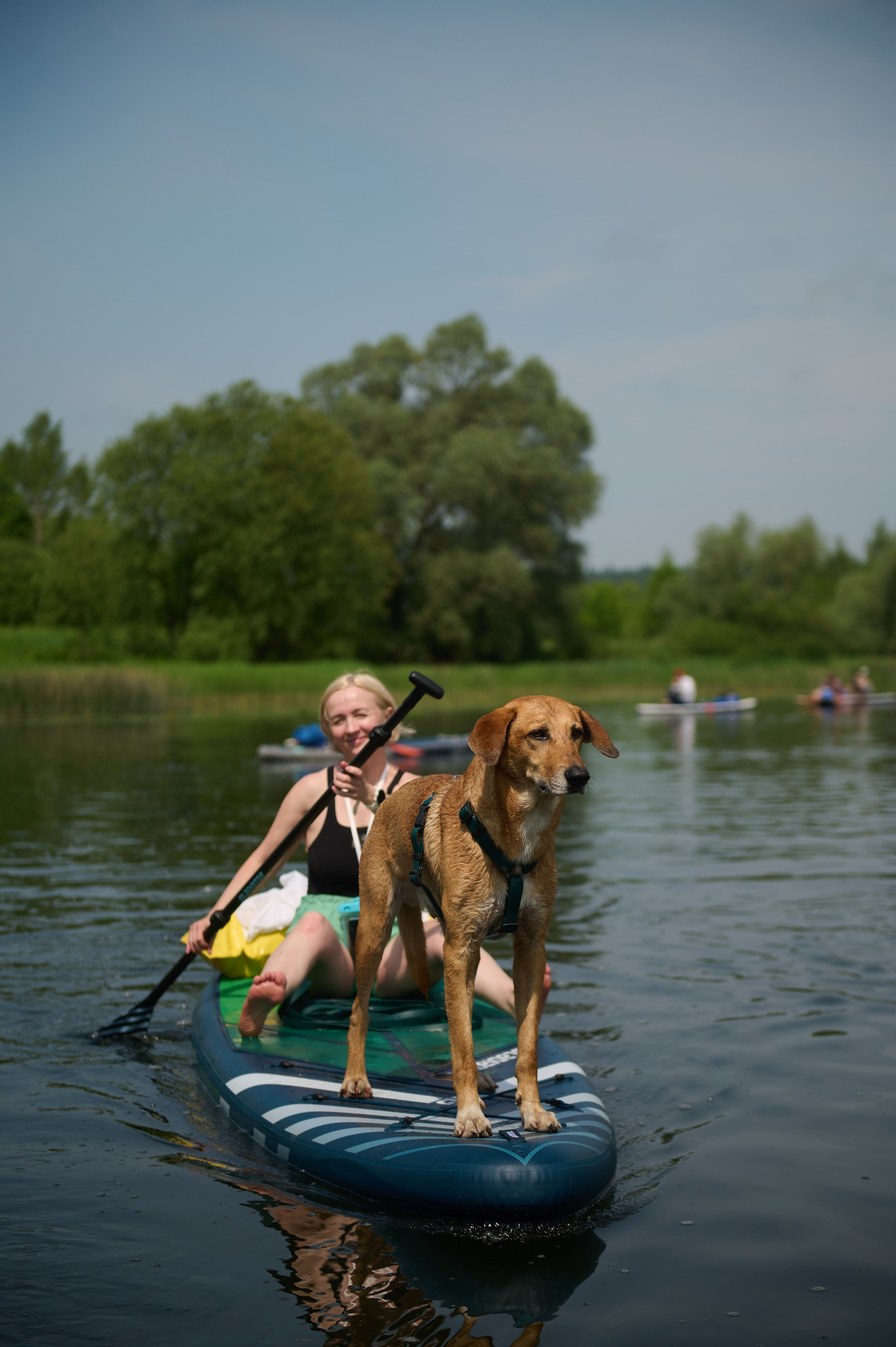 Июнь р. Протва. Главная