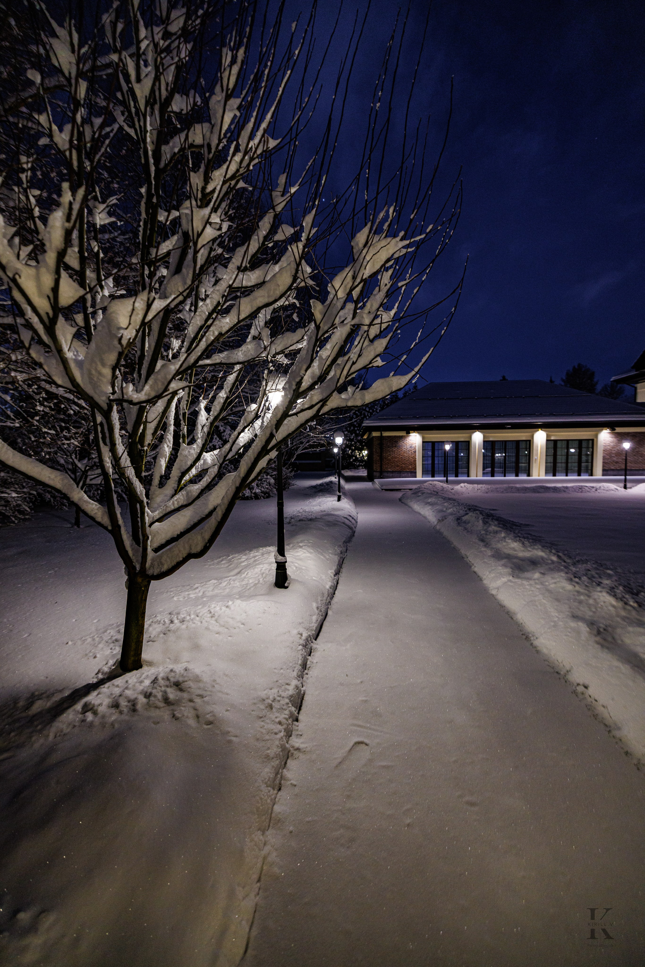 Природа 31 Декабря 2025 года. Клены. Фотографирую жизнь! Московский фотограф волонтер