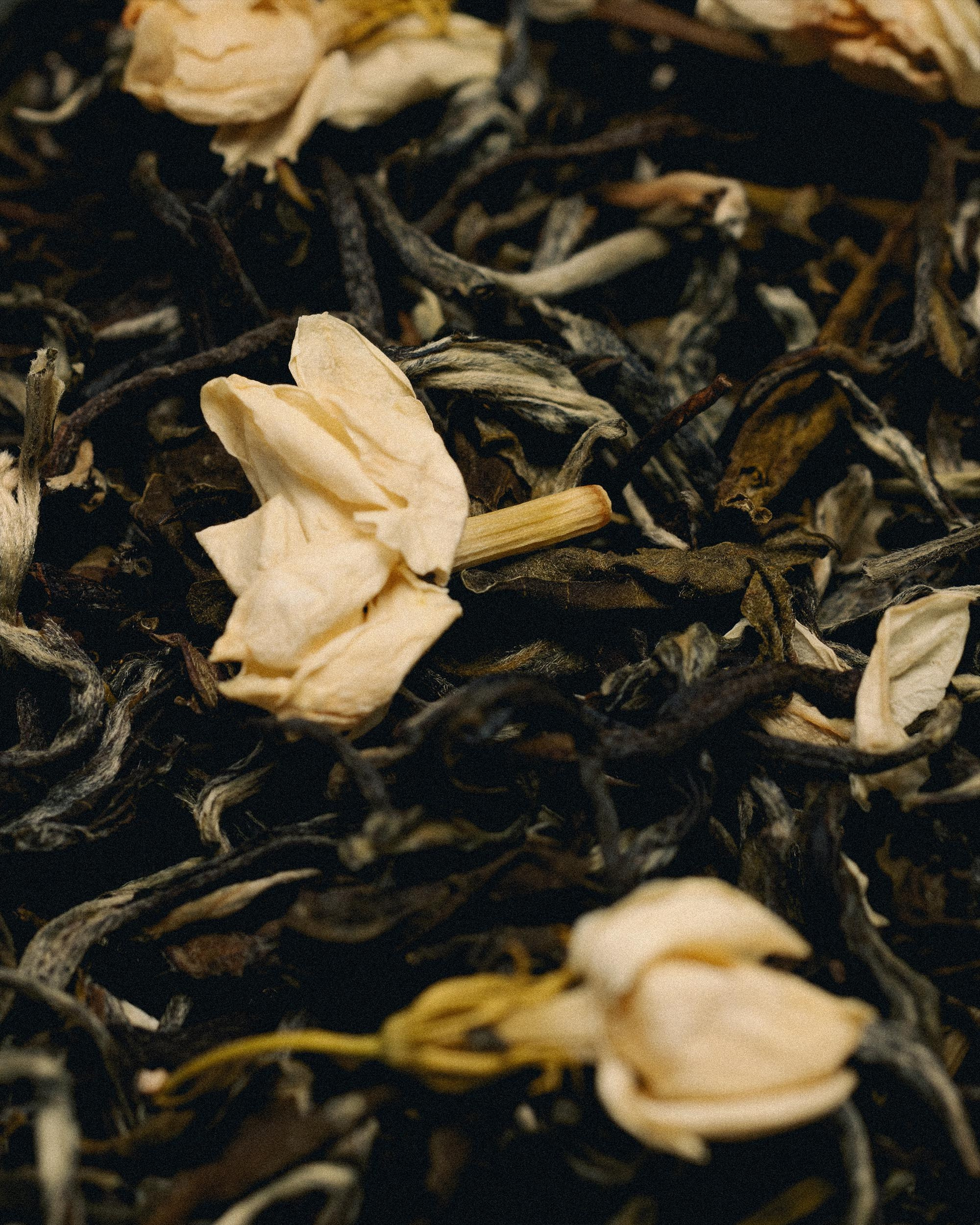 69 — CHA. Ivan Petrov photographer