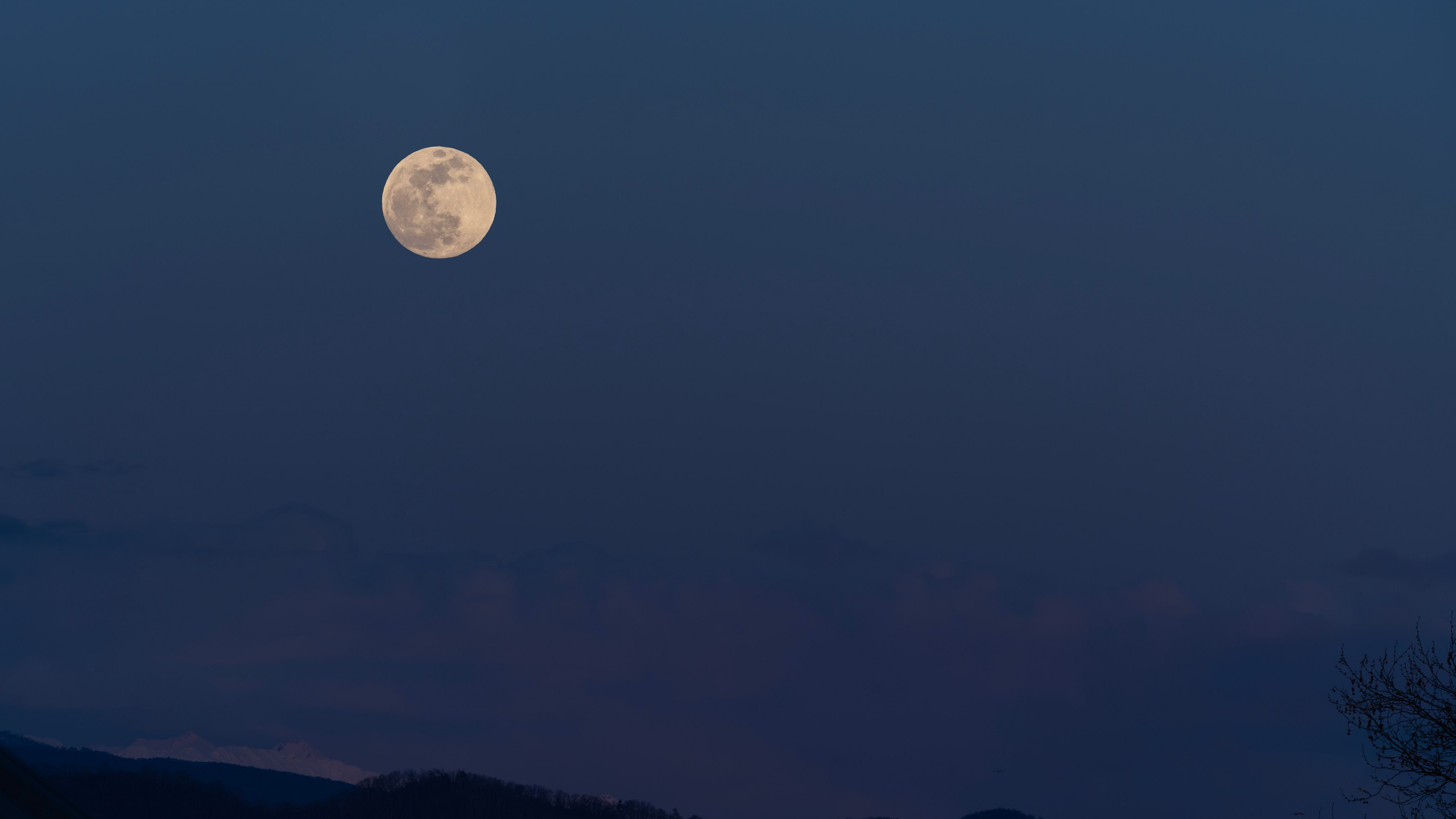 Заставки. Главная