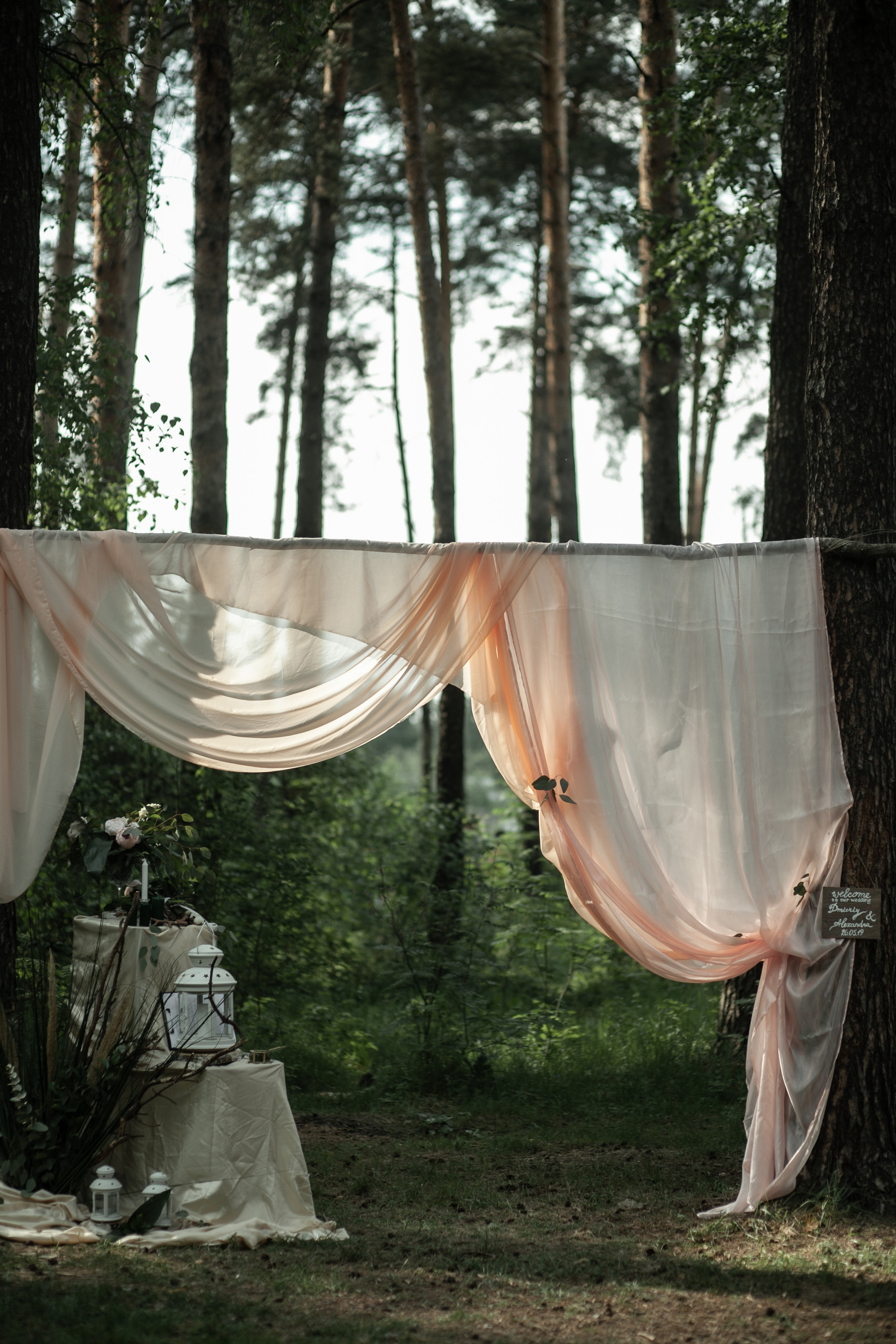 Alexandra & Dmitry Forest wed